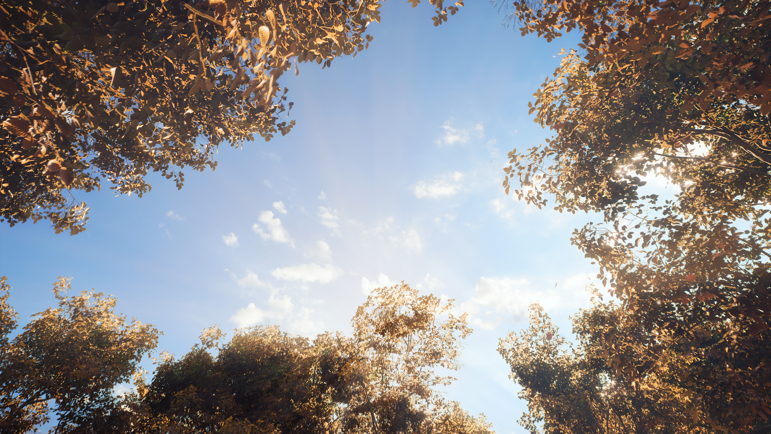 Осенний Лес | 2022. 6/88 Studio — производство графики под ключ на Unreal Engine