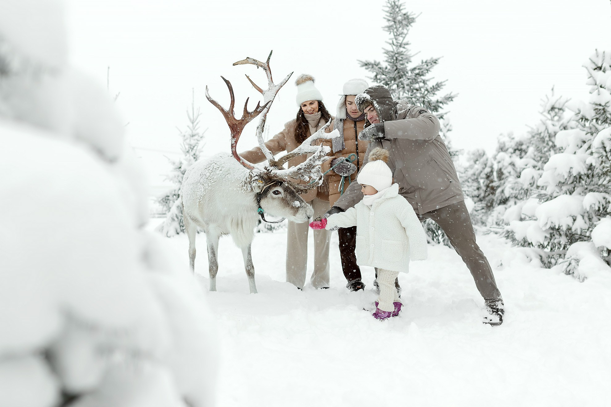 Новогодние истории. Фотограф в Санкт-Петербурге Наталья Макарова