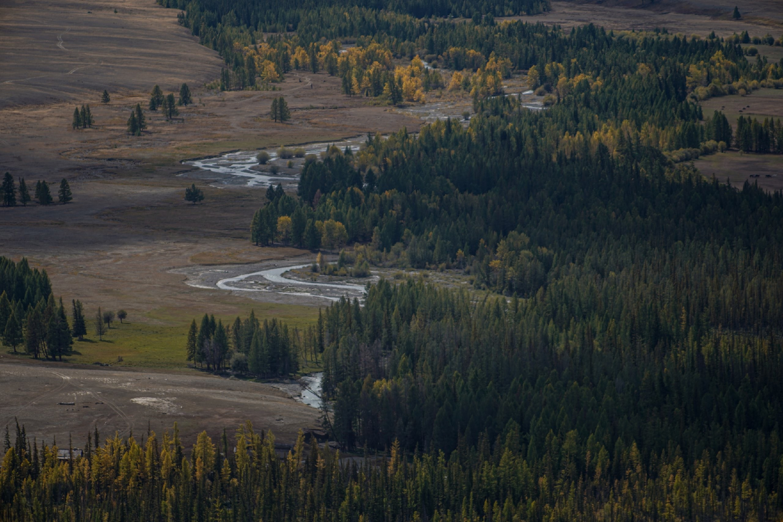 Алтай. KirillKrasnobaev.ru