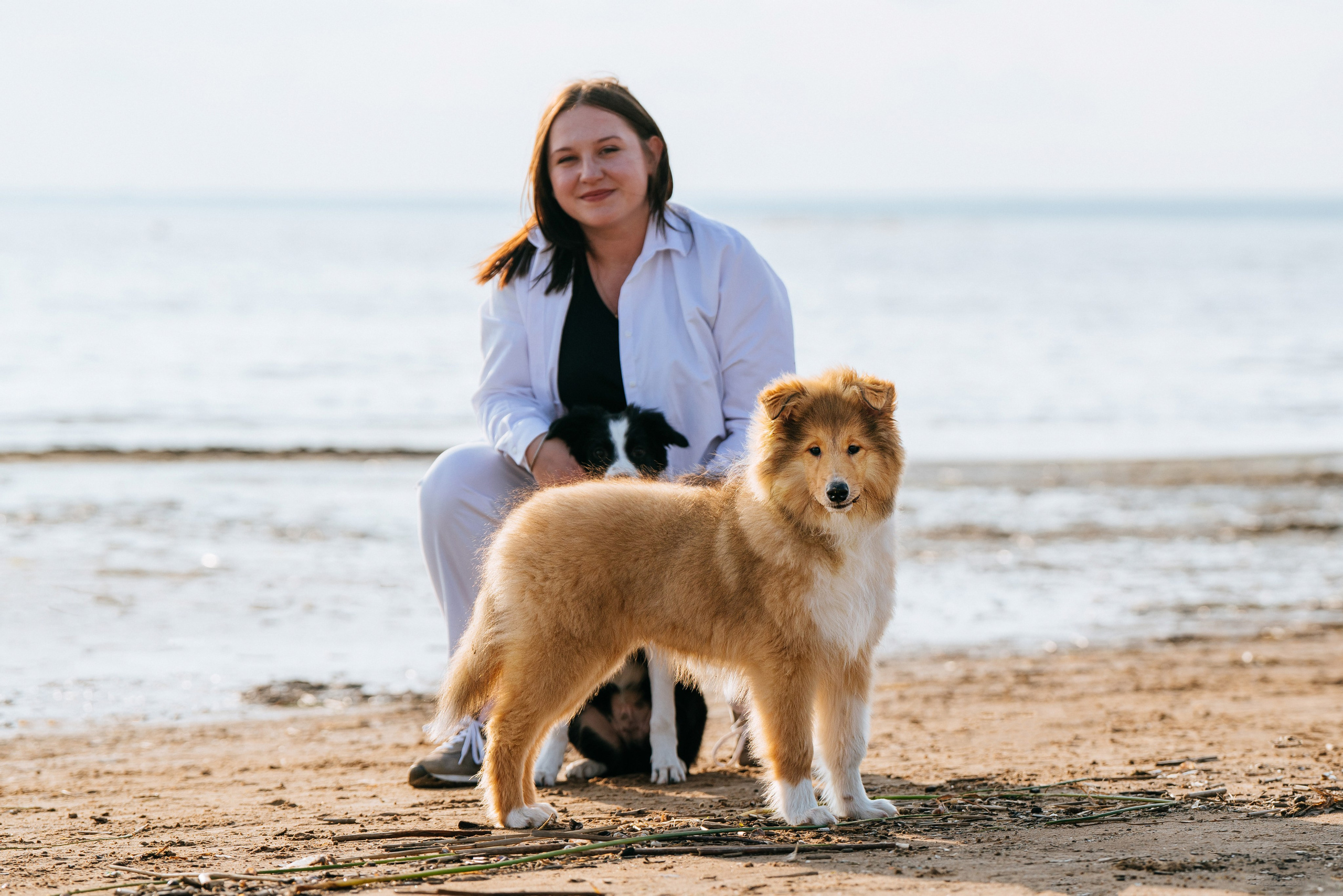 Фотосессия со щенками колли. Фотограф анималист в Спб недорого Олеся Майорова