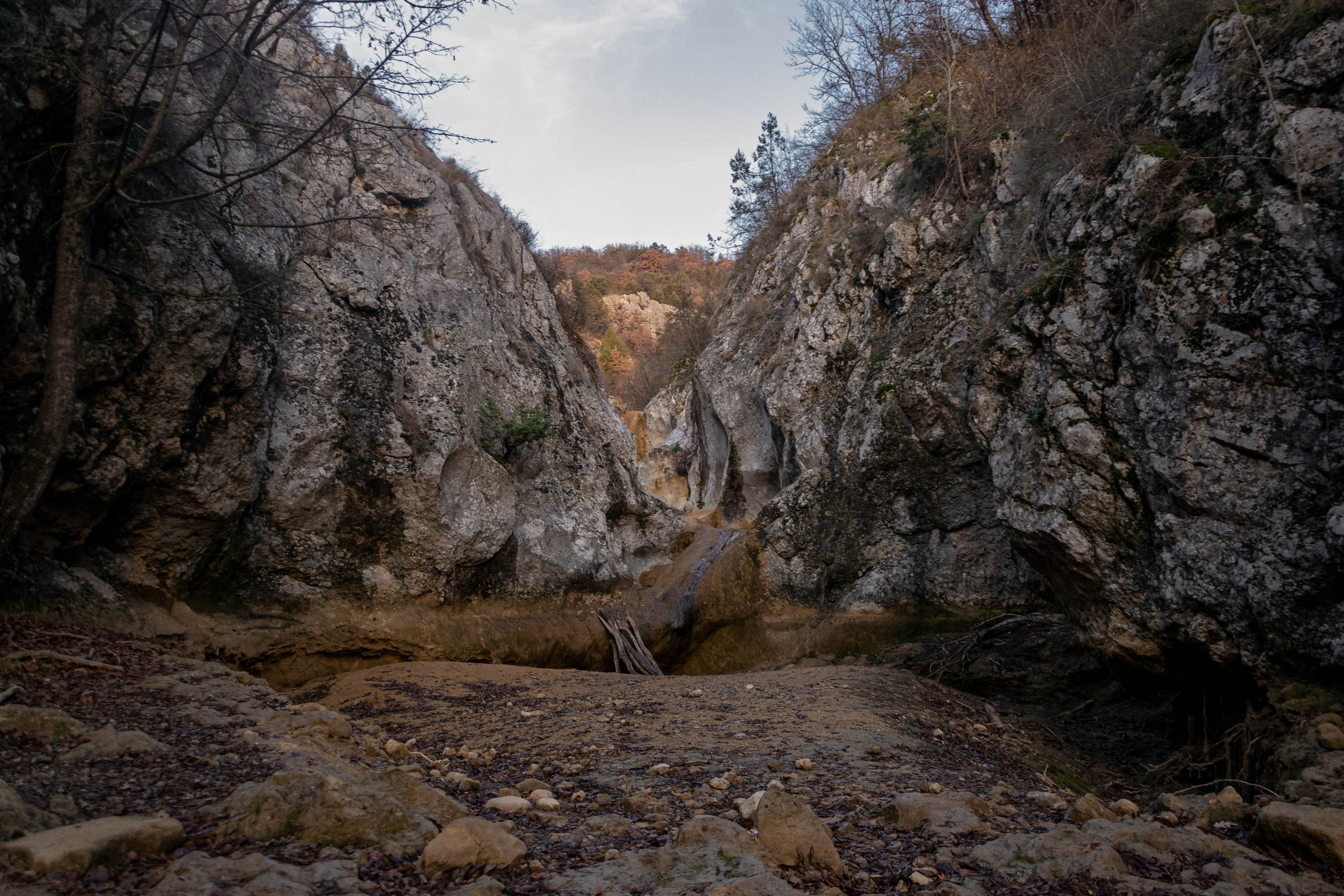 Шаман. Фотограф в Севастополе