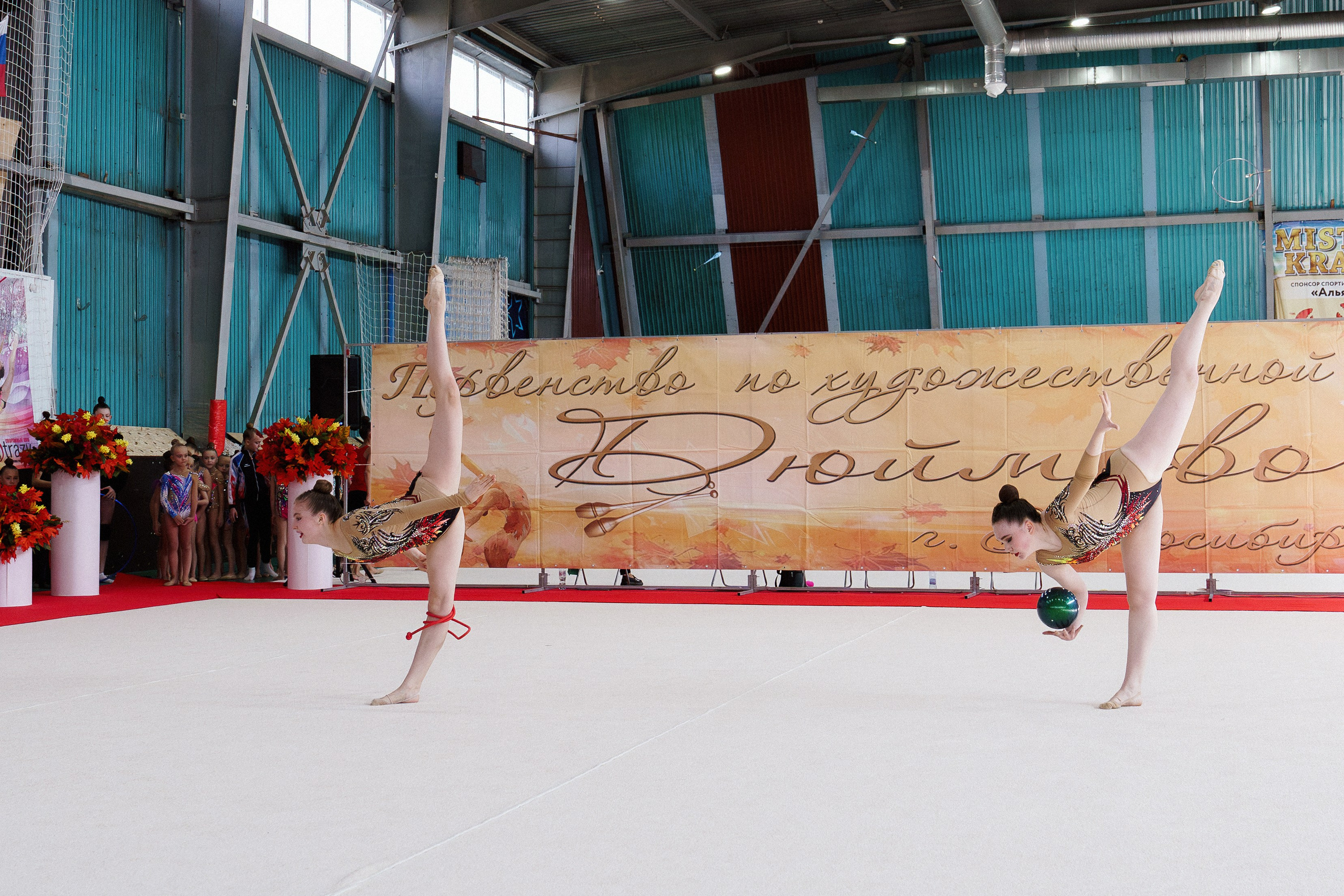 XII городские соревнования по художественной гимнастике «ДЮЙМОВОЧКА». Фотомастерская Воробьевых