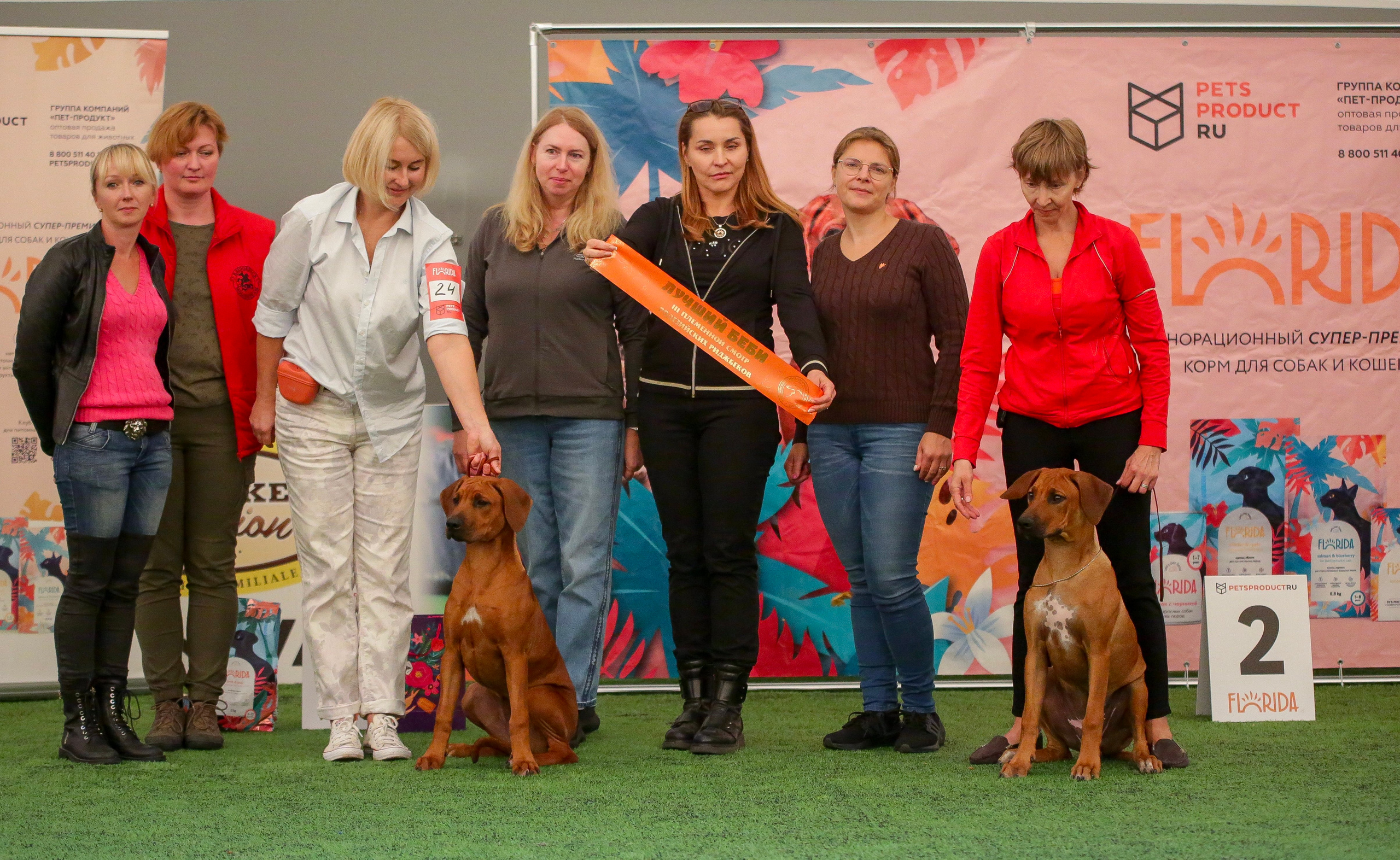 Нала. Родезийские Риджбеки в Санкт-Петербурге