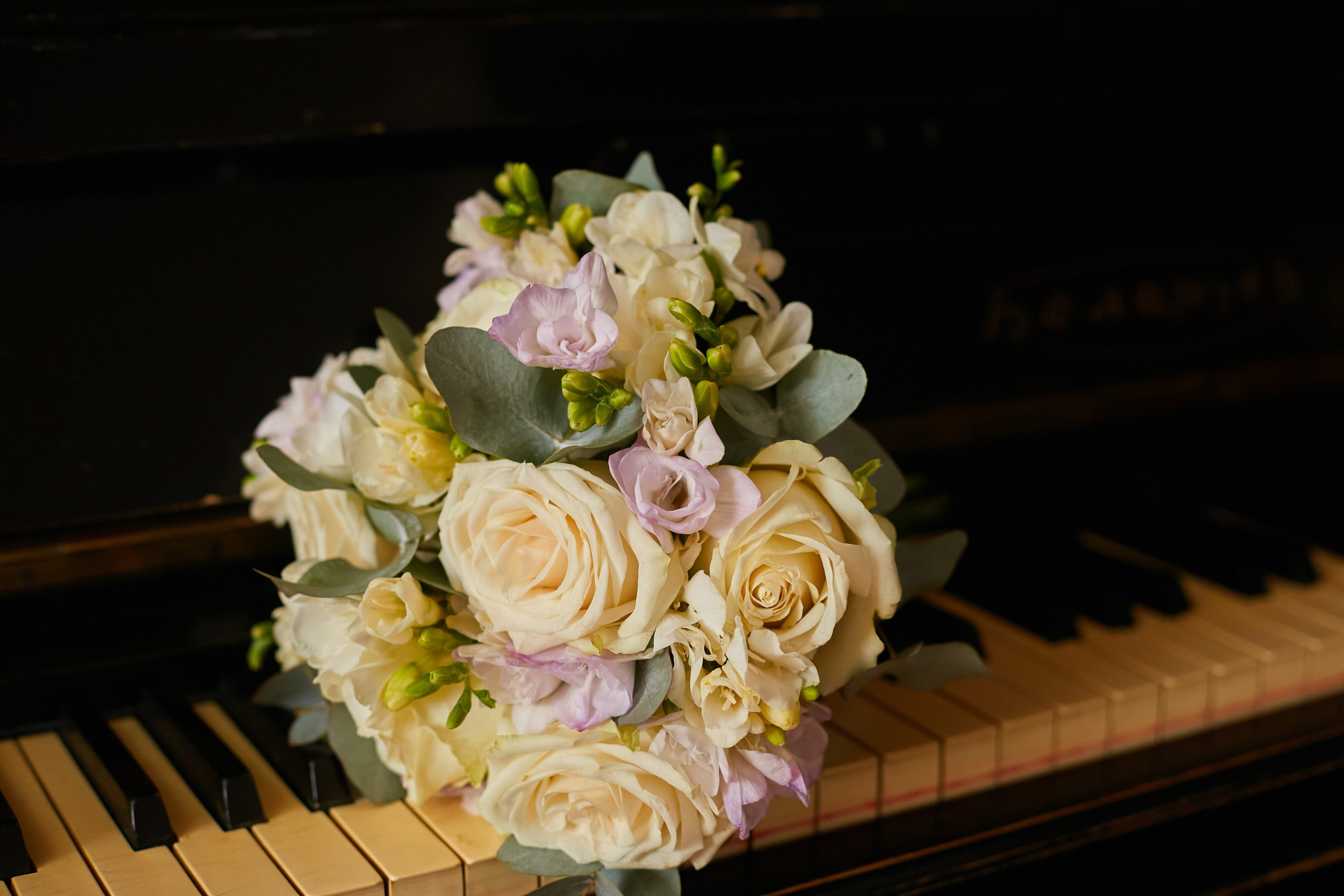 Александр и Анастасия. Свадебный и креативный фотограф в ЮФО и МСК