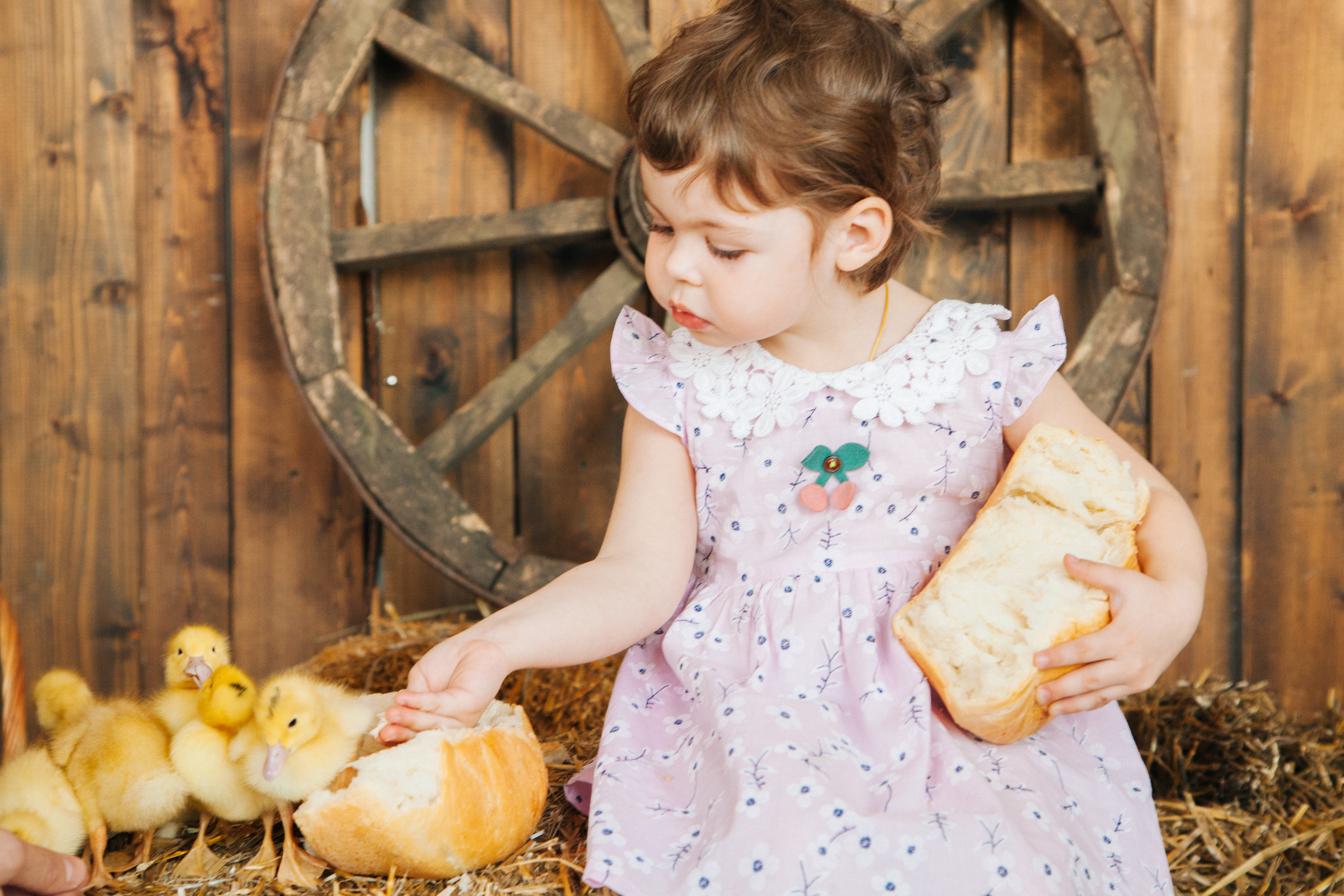 Пасхальные фотосессии. Семейный и контент фотограф в Москве Вероника Швец