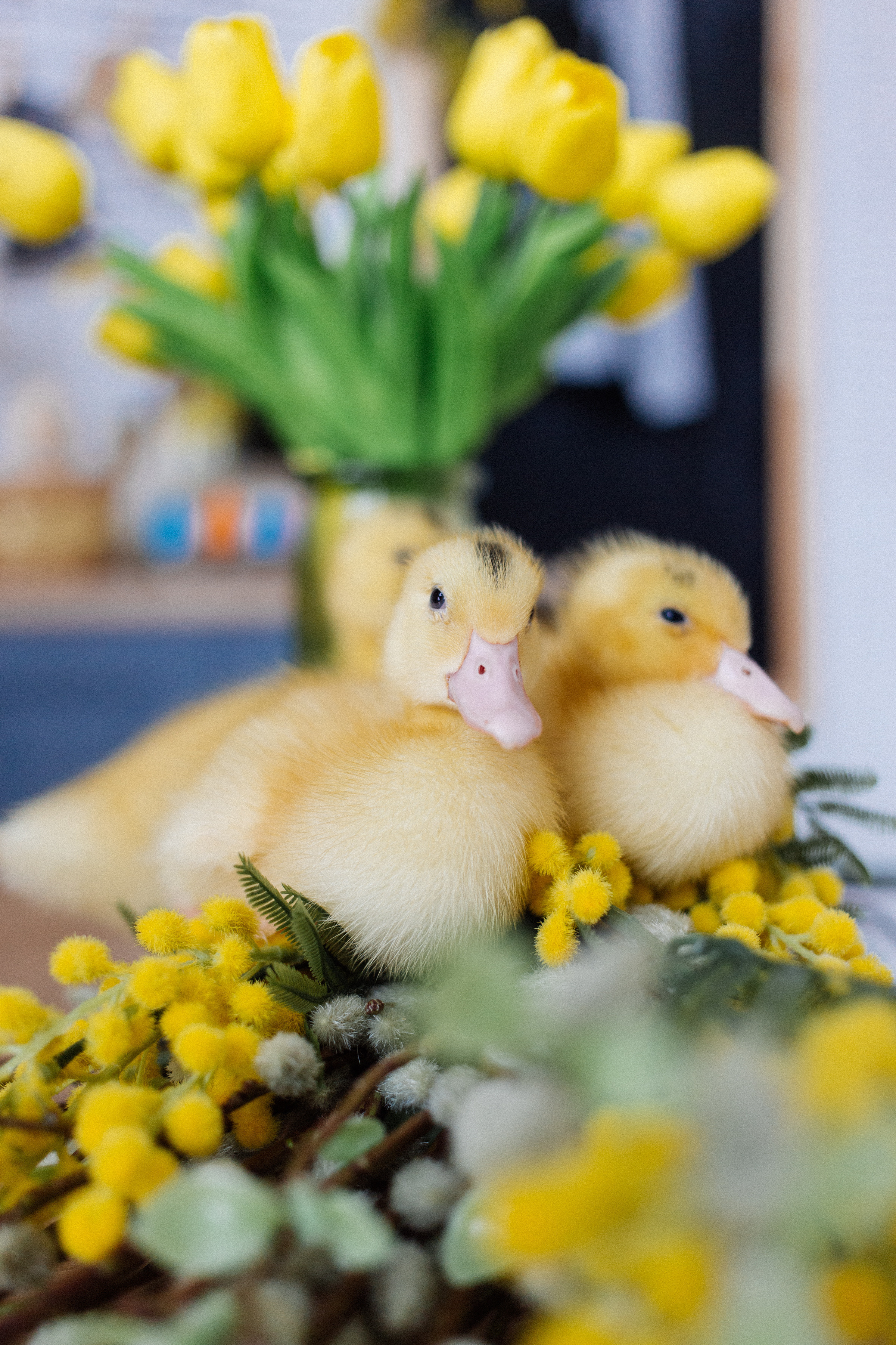 Пасхальные фотосессии. Семейный и контент фотограф в Москве Вероника Швец