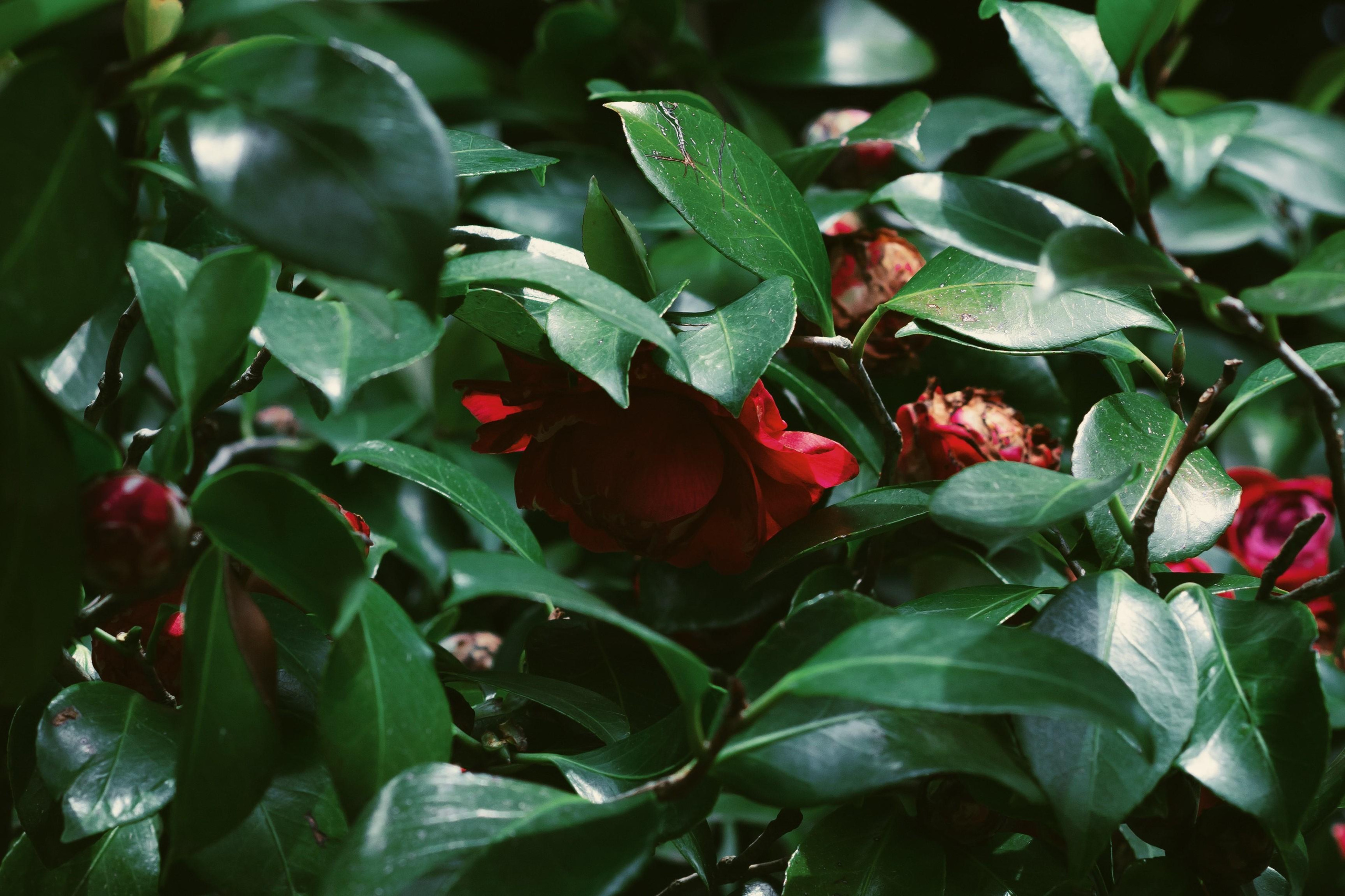 Фотограф в Минске Alex Squire