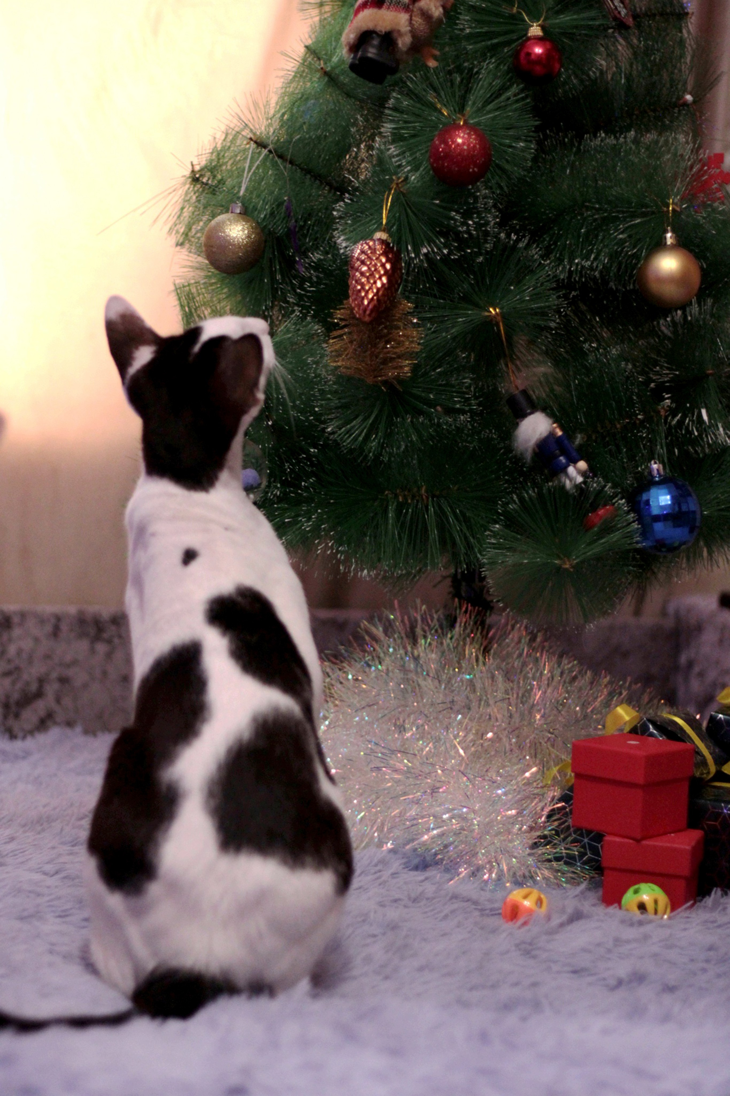 Катя Попова|ЛайфСтайл фотограф