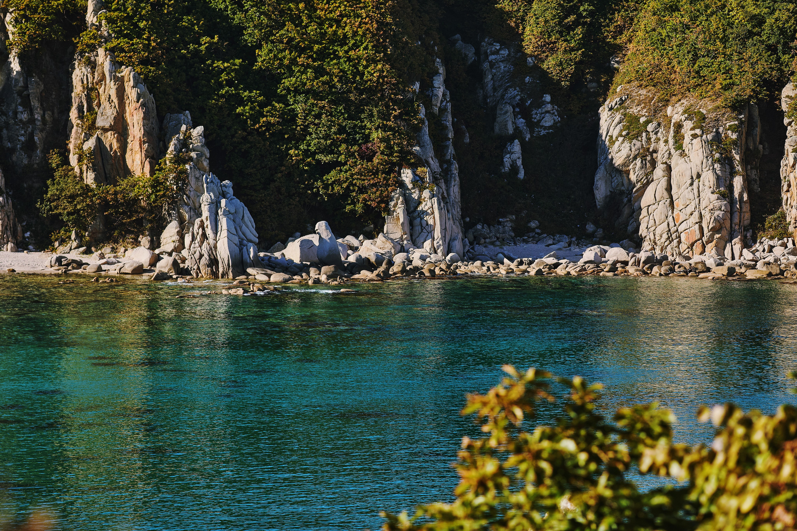 Зелёное море, скалы, горы и осенний лес в Приморском крае