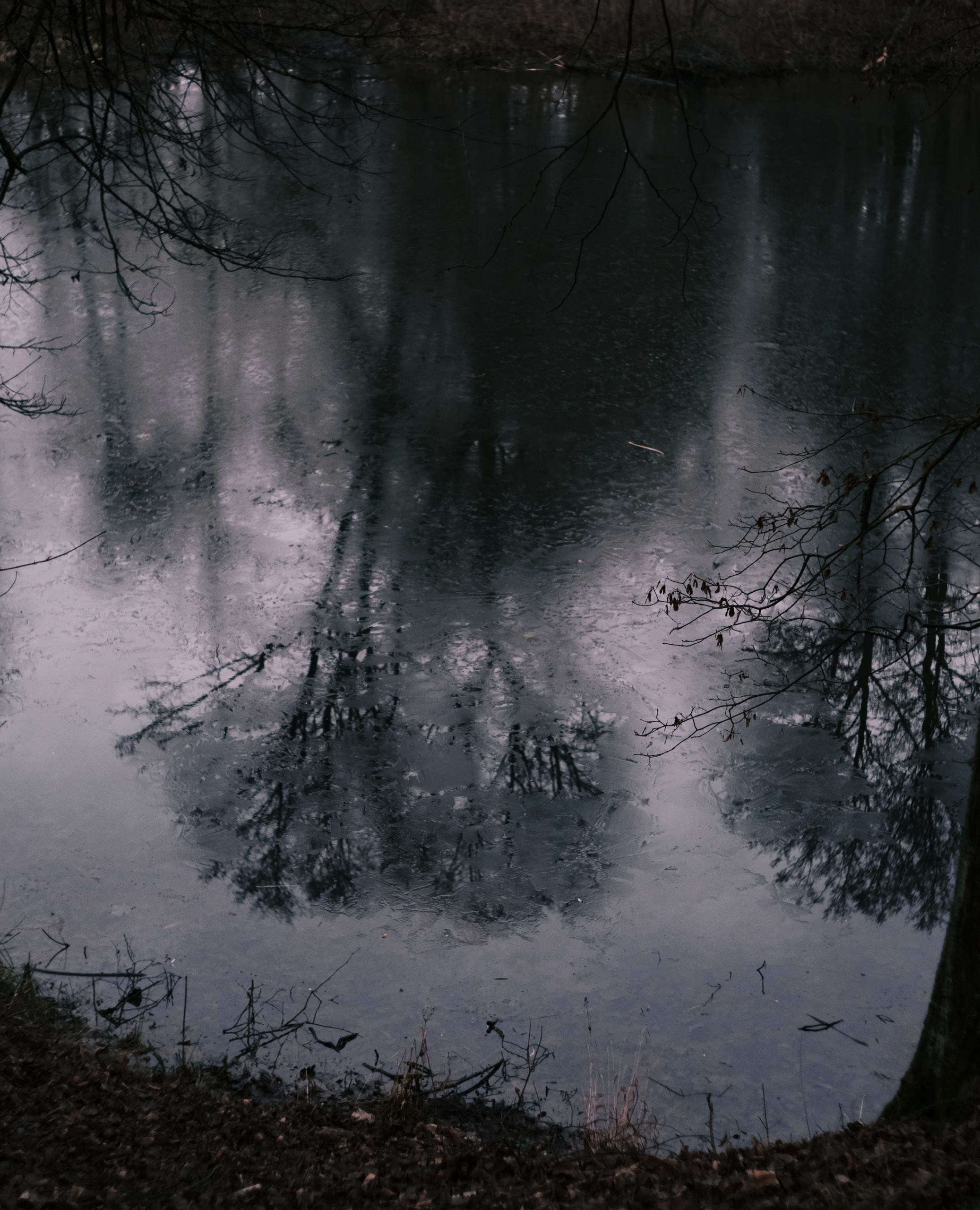 Большой пруд покрывается льдом