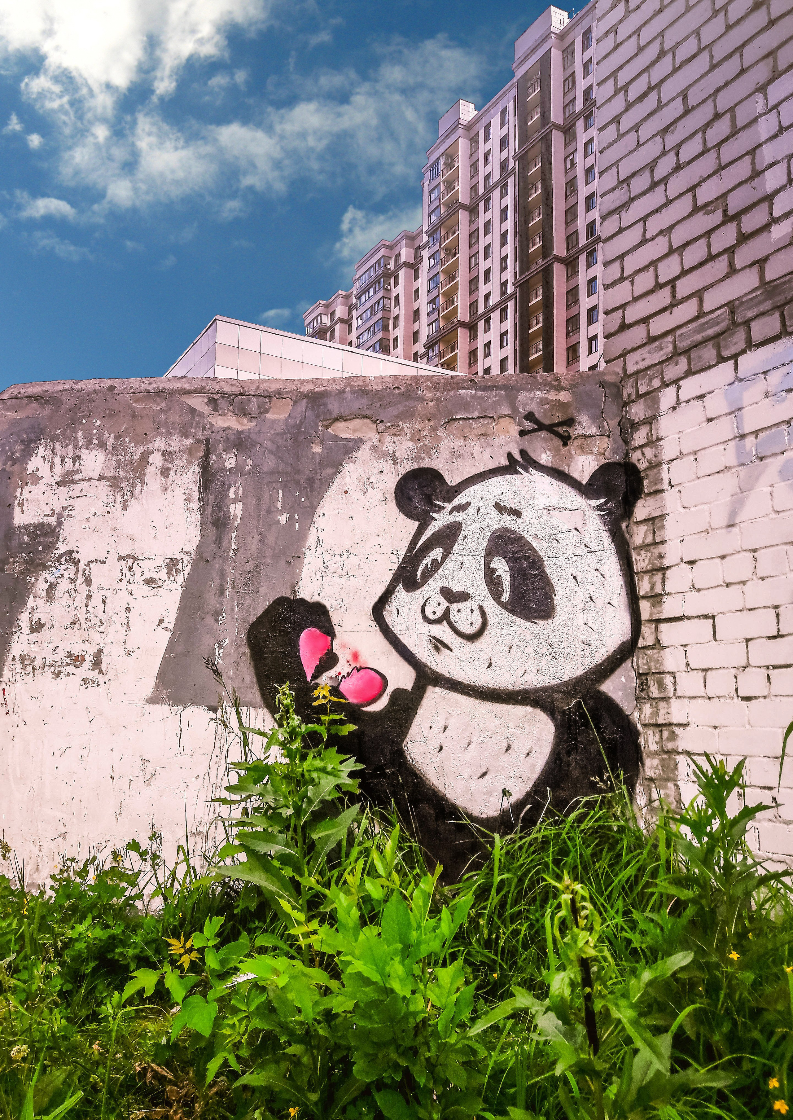 Graffiti. Alexander Stan Shimanov