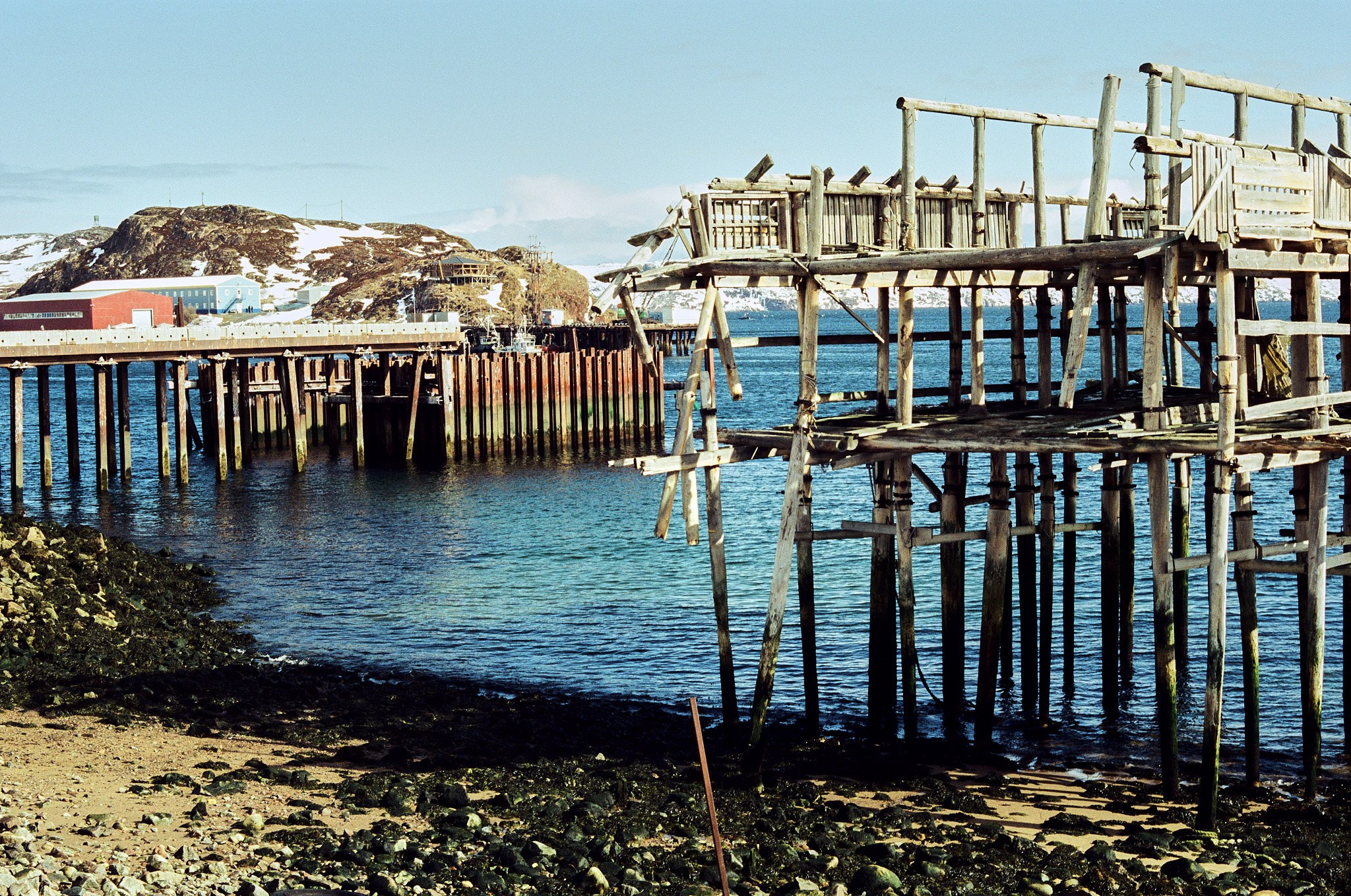 Teriberka (Murmansk). The Other Pavel Potseluev — film photography and mastery of meat business
