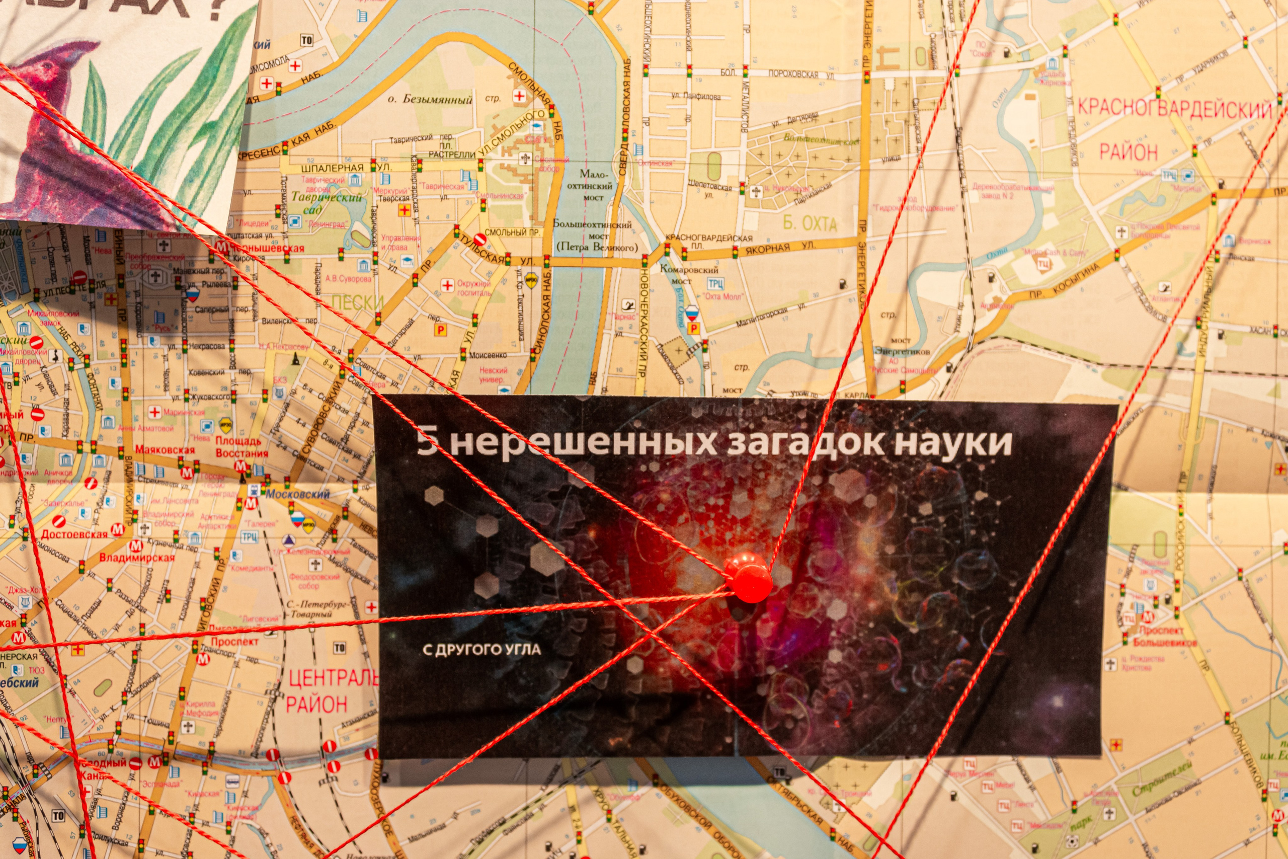 Динотопия. Козлова Екатерина. Междисциплинарная визуальная художница