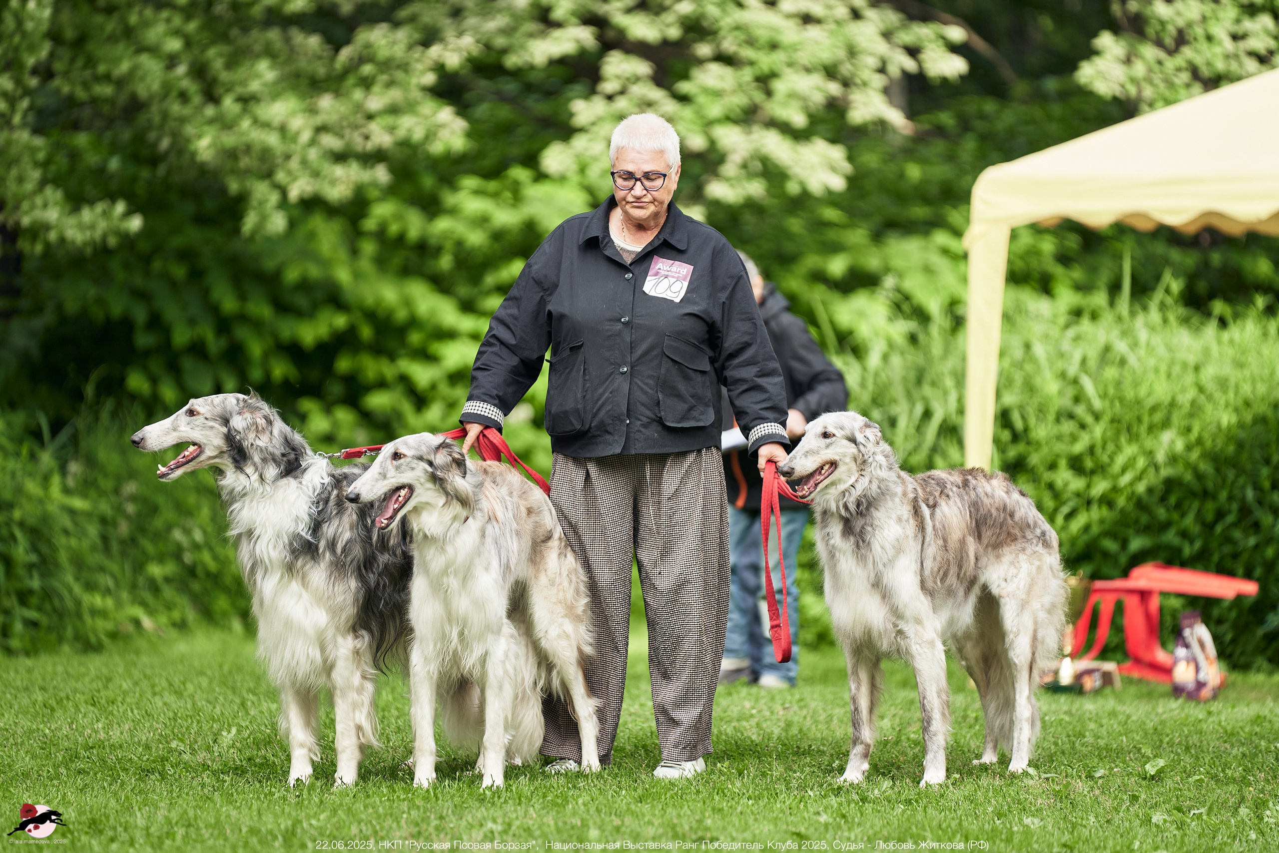 22.06.2025 | Национальная Выставка НКП "Русская Псовая Борзая"