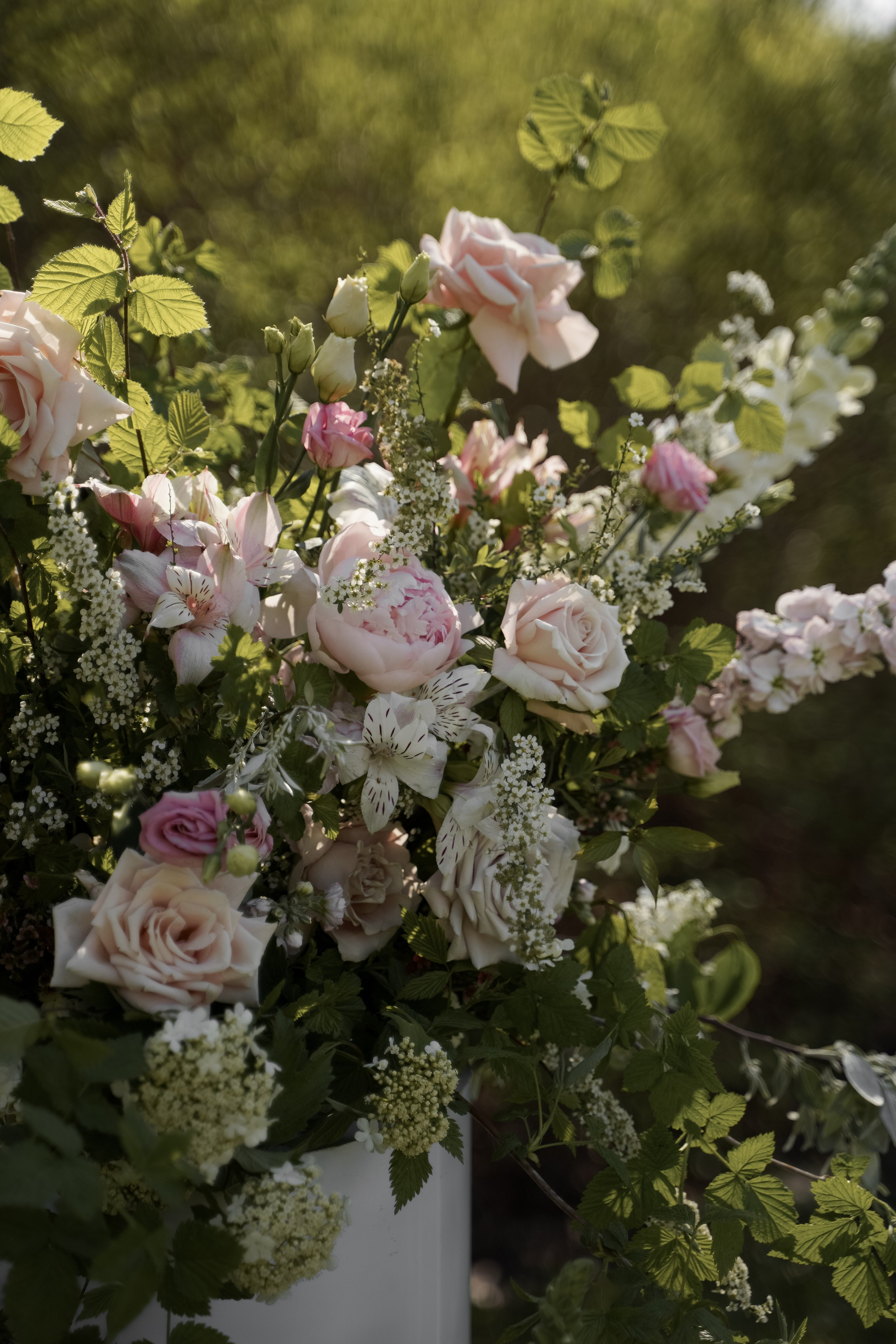 Ольга и Даниил. Свадебный фотограф Марина Попова