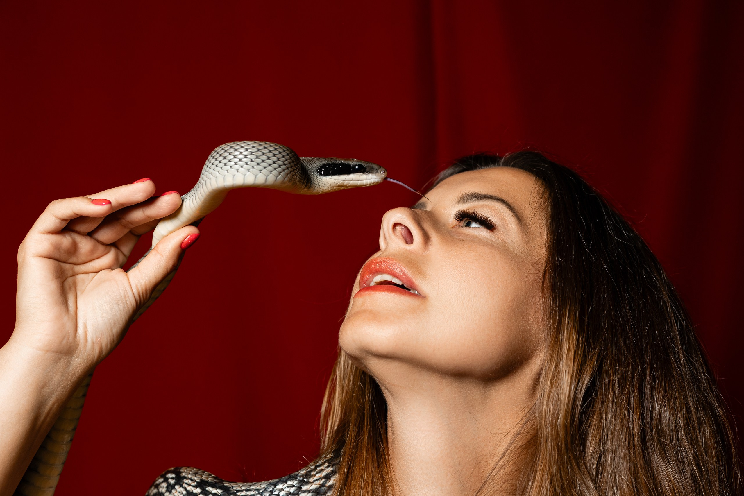 Фотосессия со змеями на выставке экзотических животных ДОМ ДРАКОНОВ. Фотограф в Санкт-Петербурге — Сергей Петров