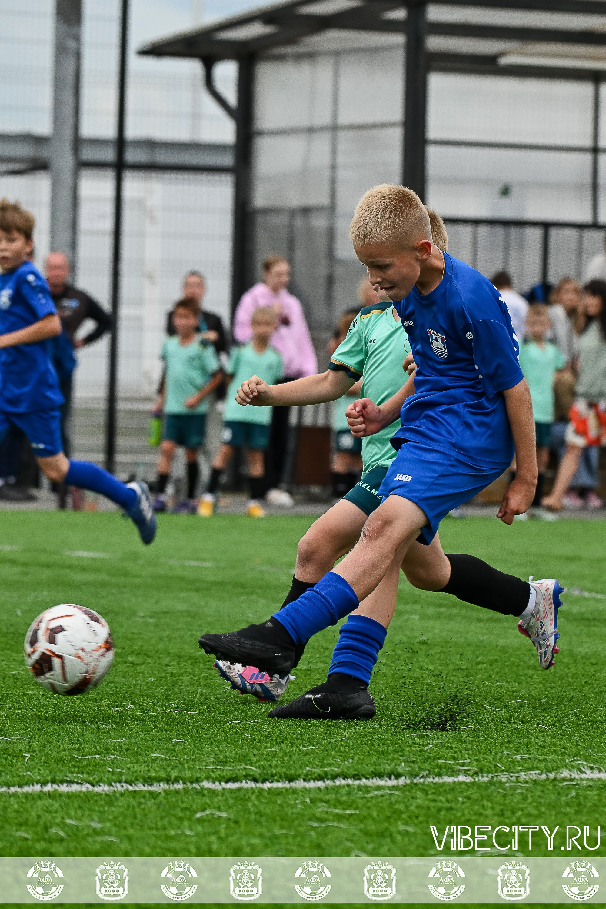 Калининградская Детская Футбольная Лига. VIBECITY.RU Вайб Сити Ру Фоторепортажи Фотоотчеты Калининград