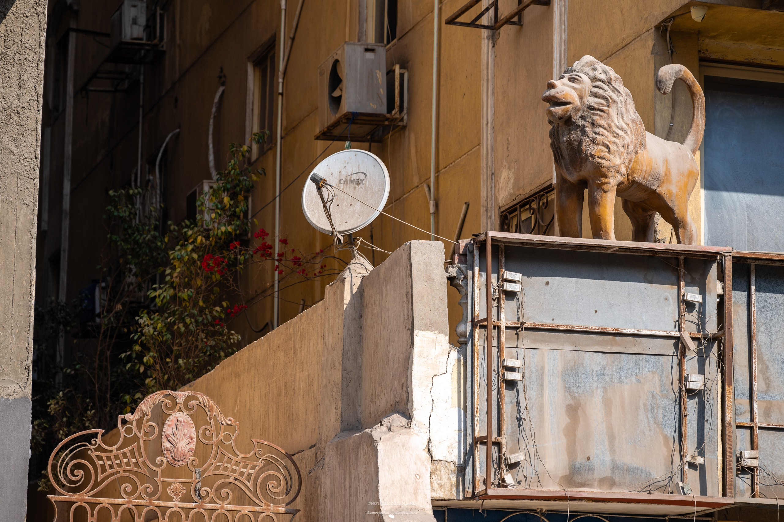 Каир самобытный и сумасшедший. Авторские стильные фотокартины
