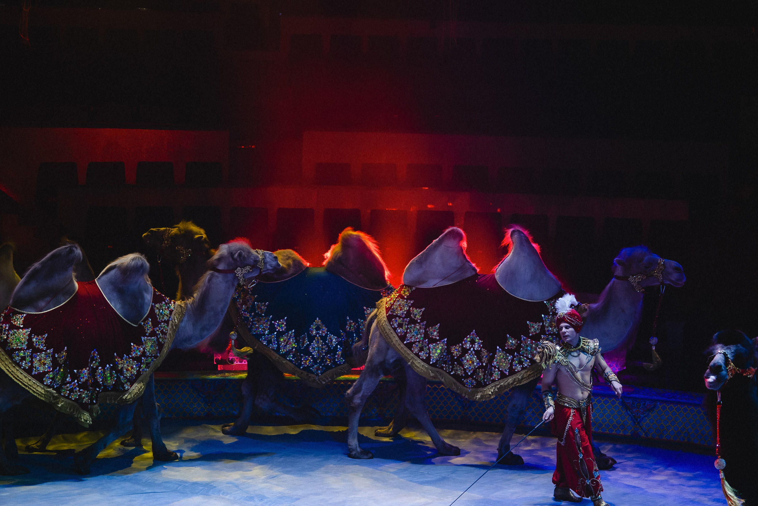 Пресс-показ шоу «Песчаная Сказка». Воробьева Ксения — Спортивный и танцевальный фотограф Новосибирск