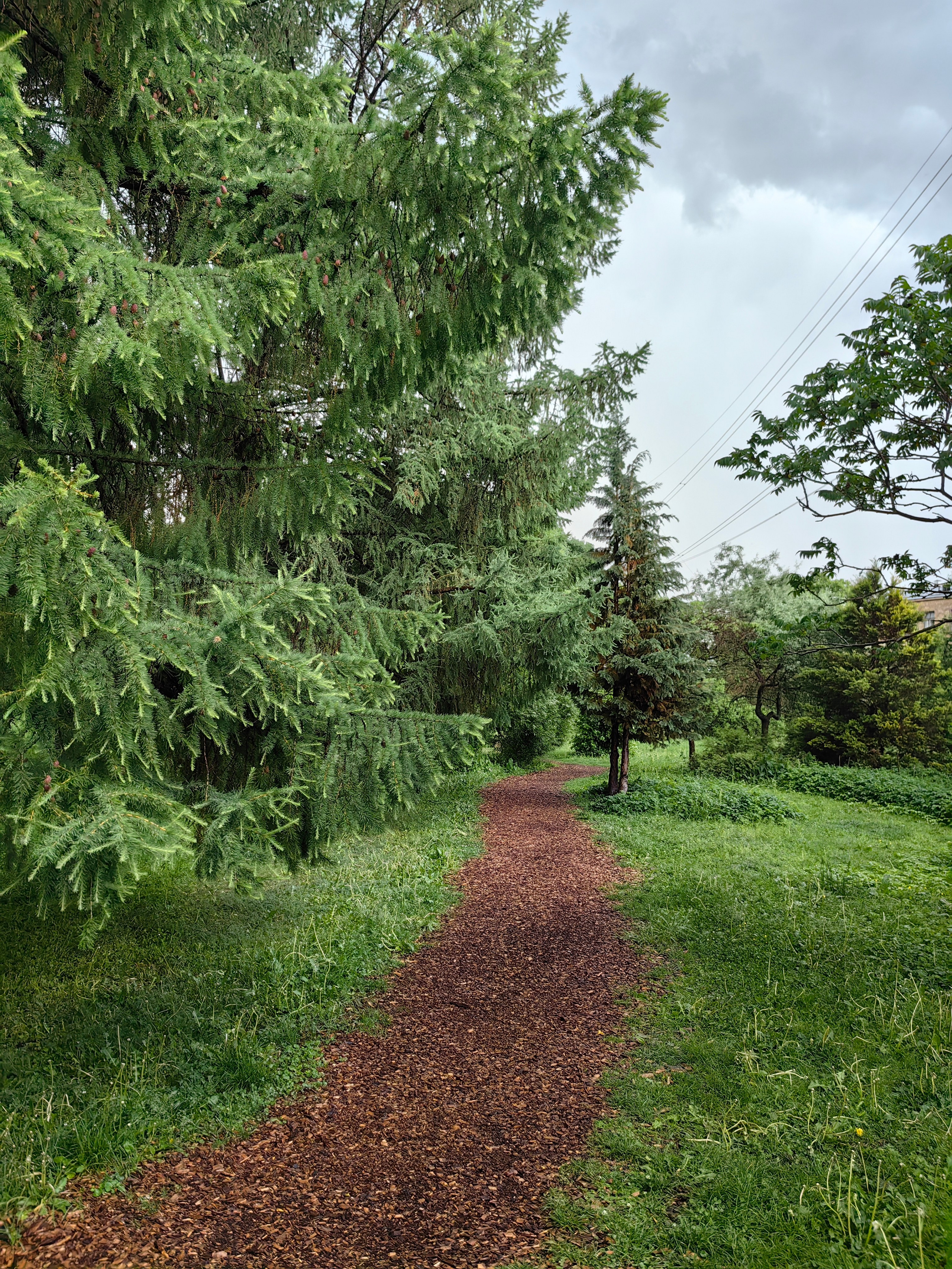 Парк БОТАНИЧЕСКИЙ САД обзор. Фотограф в Москве и Московской области (Ю-В) Олеся Макарова