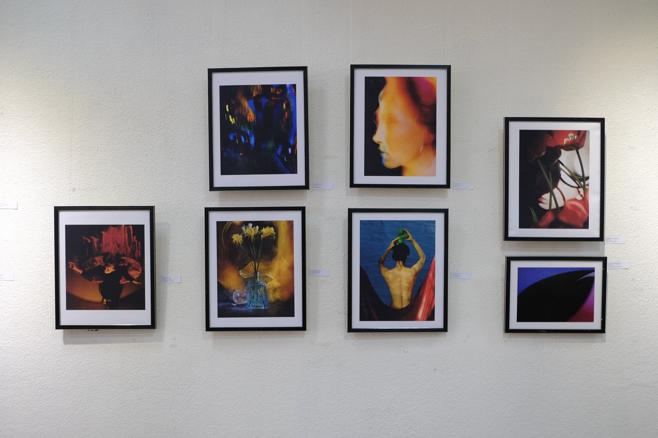 Участвую в выставке Союза фотохудожников России, Краснодар. Фотограф Наталия Шляпина в Ростове-на-Дону