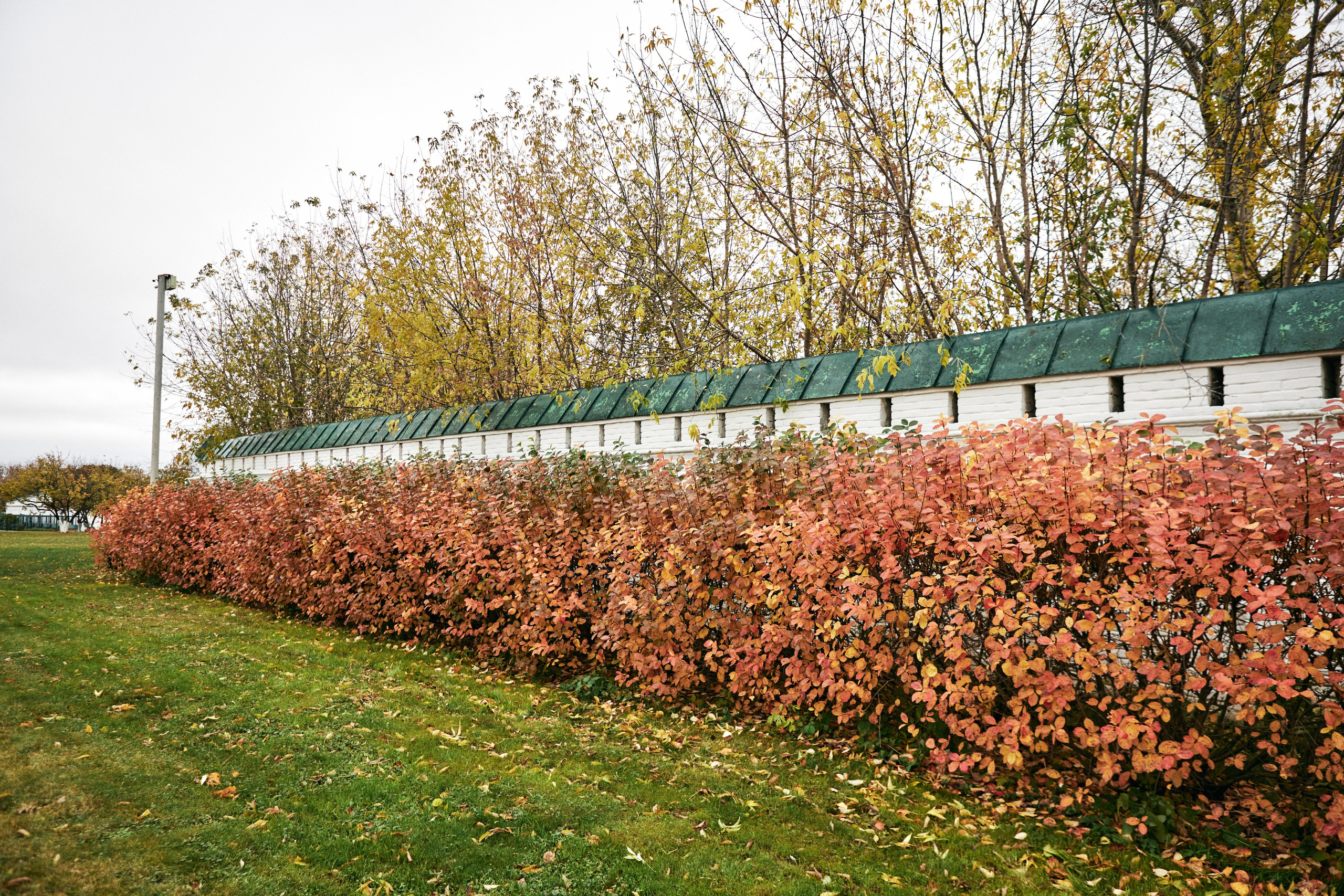 Муром. Фотограф Михаил Стенин