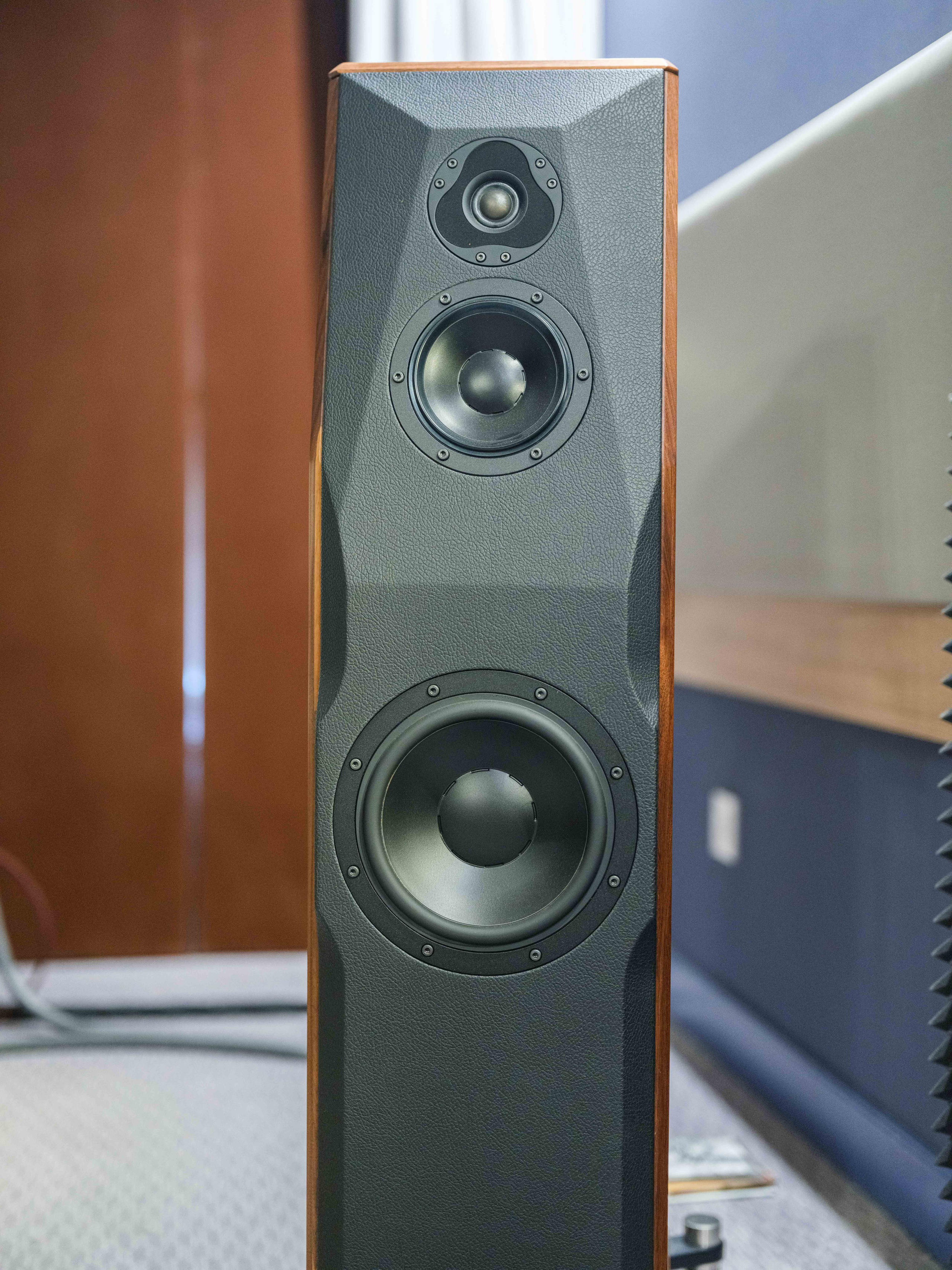 Hi-Fi & High End Show Санкт-Петербург. Фотограф Балаев Михаил