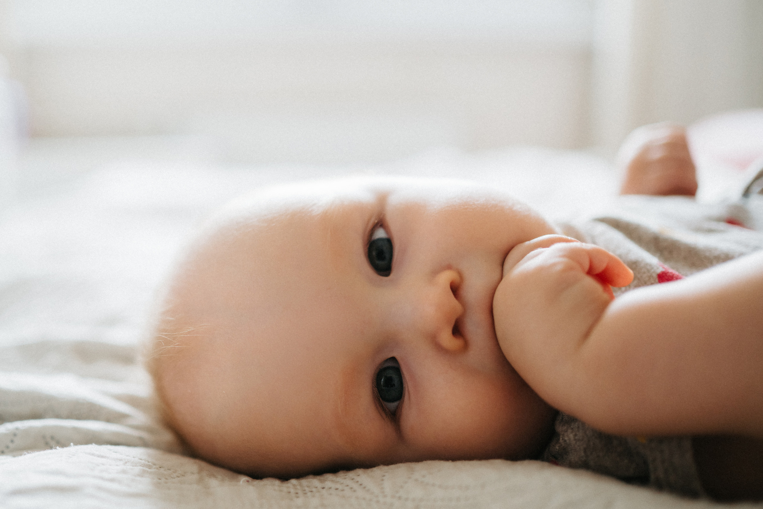 Домашние. Фотограф в Петергофе