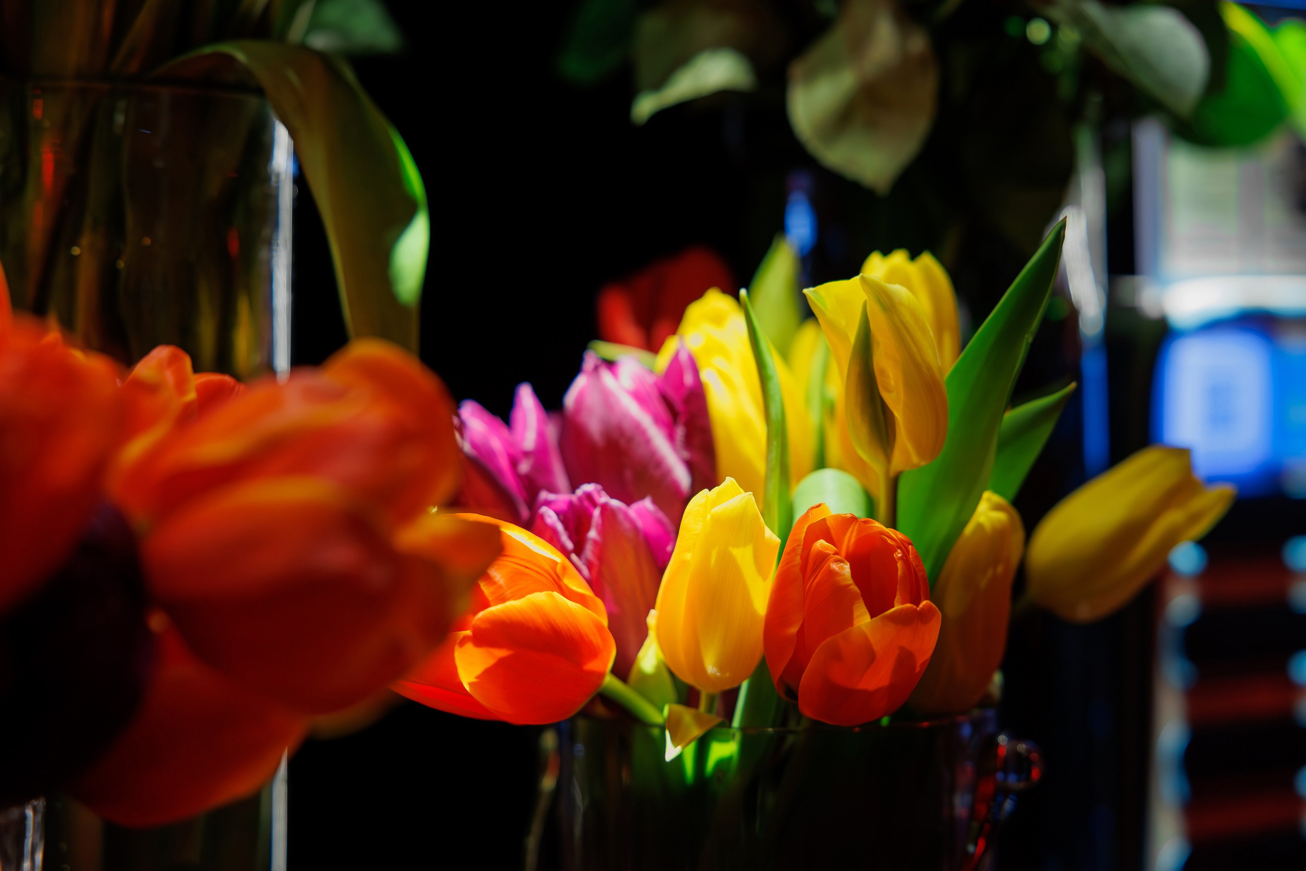 SOLOVI — PRE-8 MARCH. СВОИ. ФОТООТЧЕТЫ-СОБЫТИЯ-МЕСТА