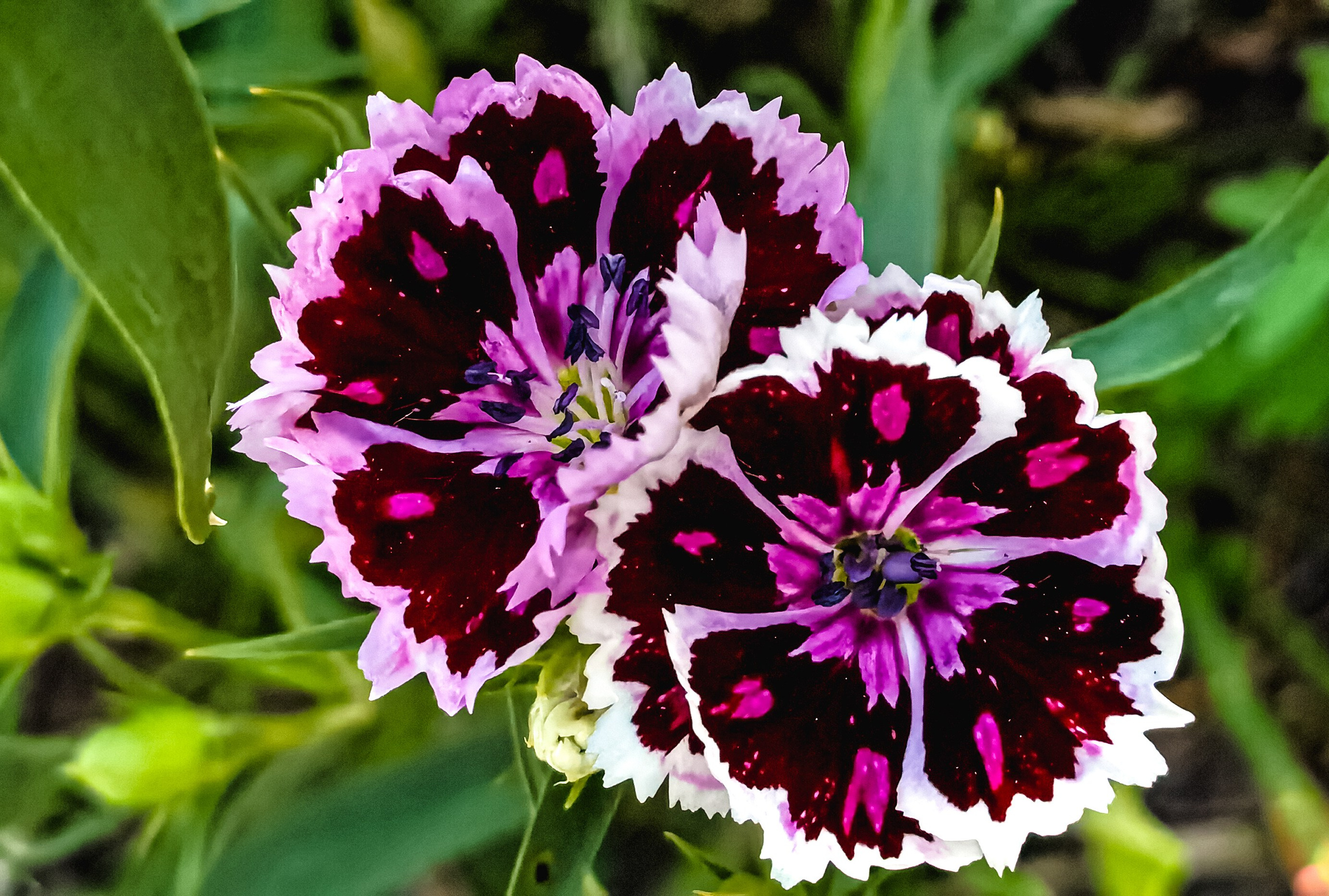 МК Мобильная фотография. Арт-фотограф Крис Л. в Тобольске: портрет, семейные, свадьбы