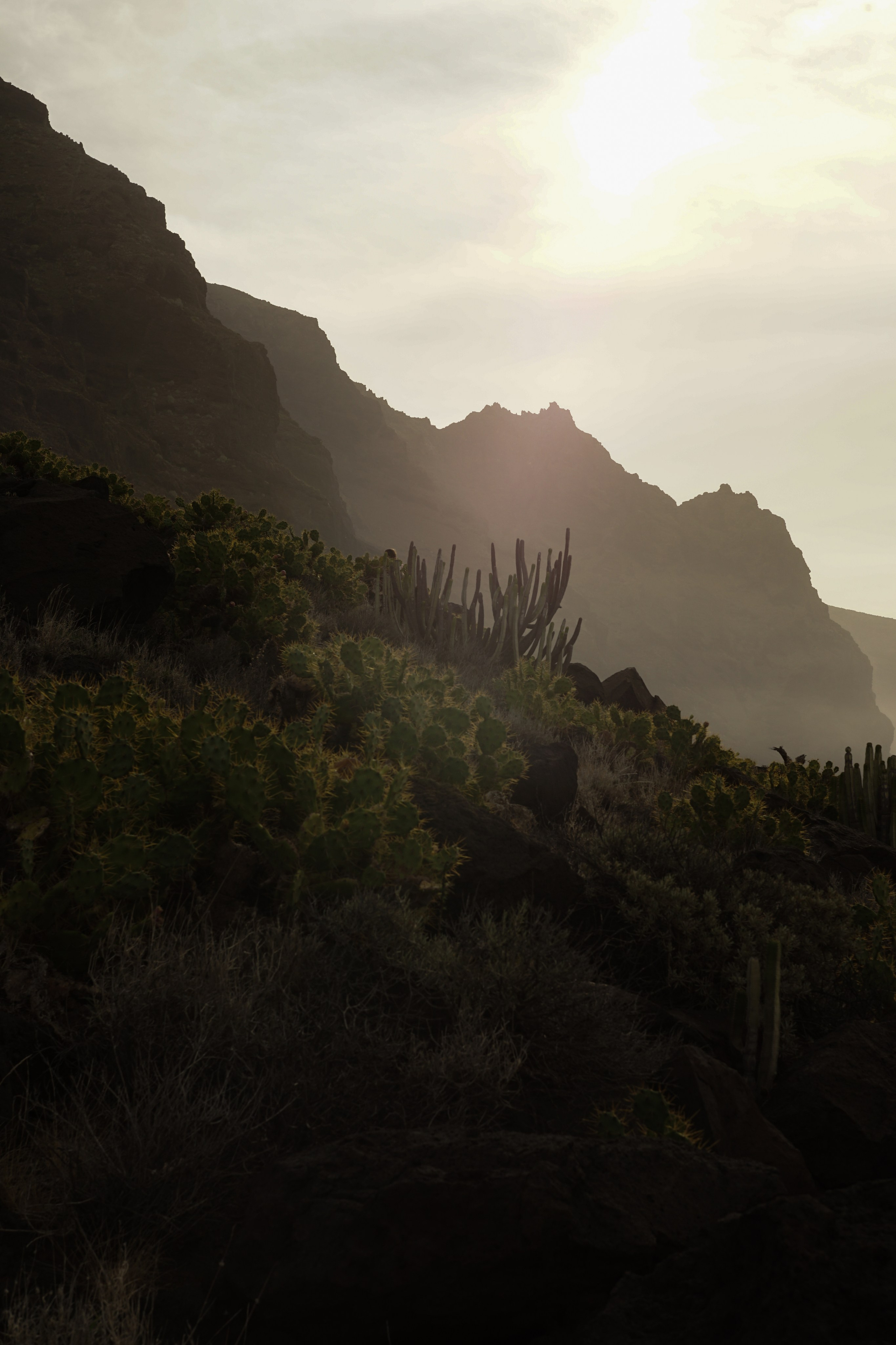 Tenerife. Фотограф и видеограф в Израиле Соня Скай