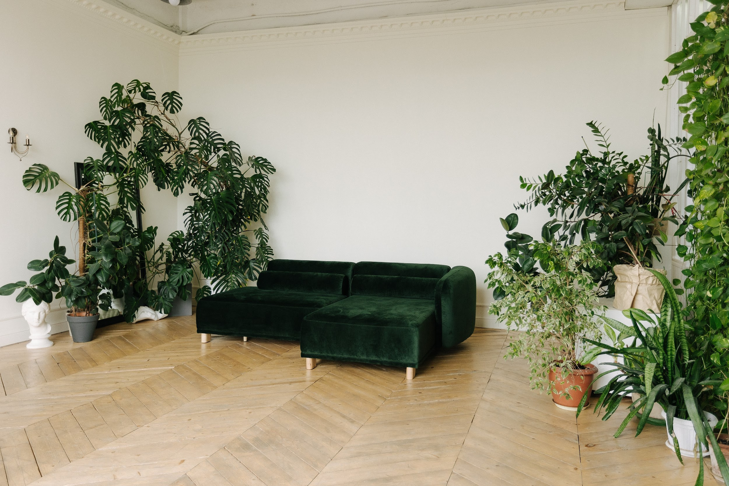 Студии Краснодара. Фотограф Наталия Бегдан