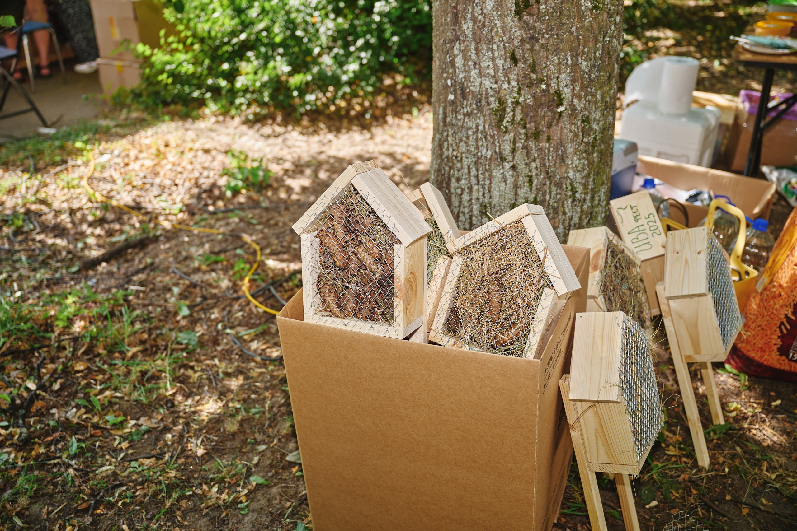 Ива фест 2025. Фотограф в Иваново: Каталожная съемка одежды и постельного белья, Wildberries