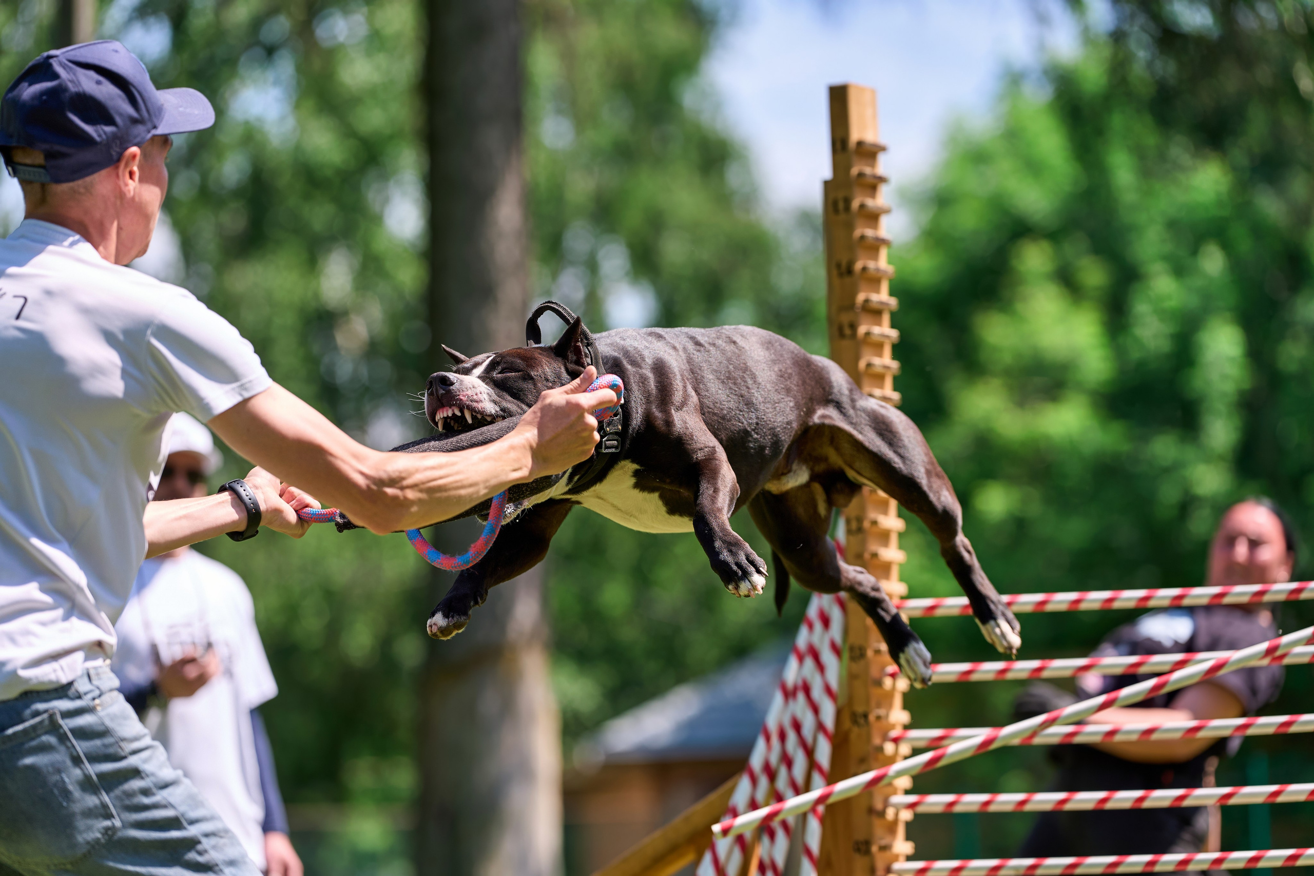 Двухдневные соревнования «Jump'n'Gym Fest — 2024». Фотограф-анималист Михаил Манухин
