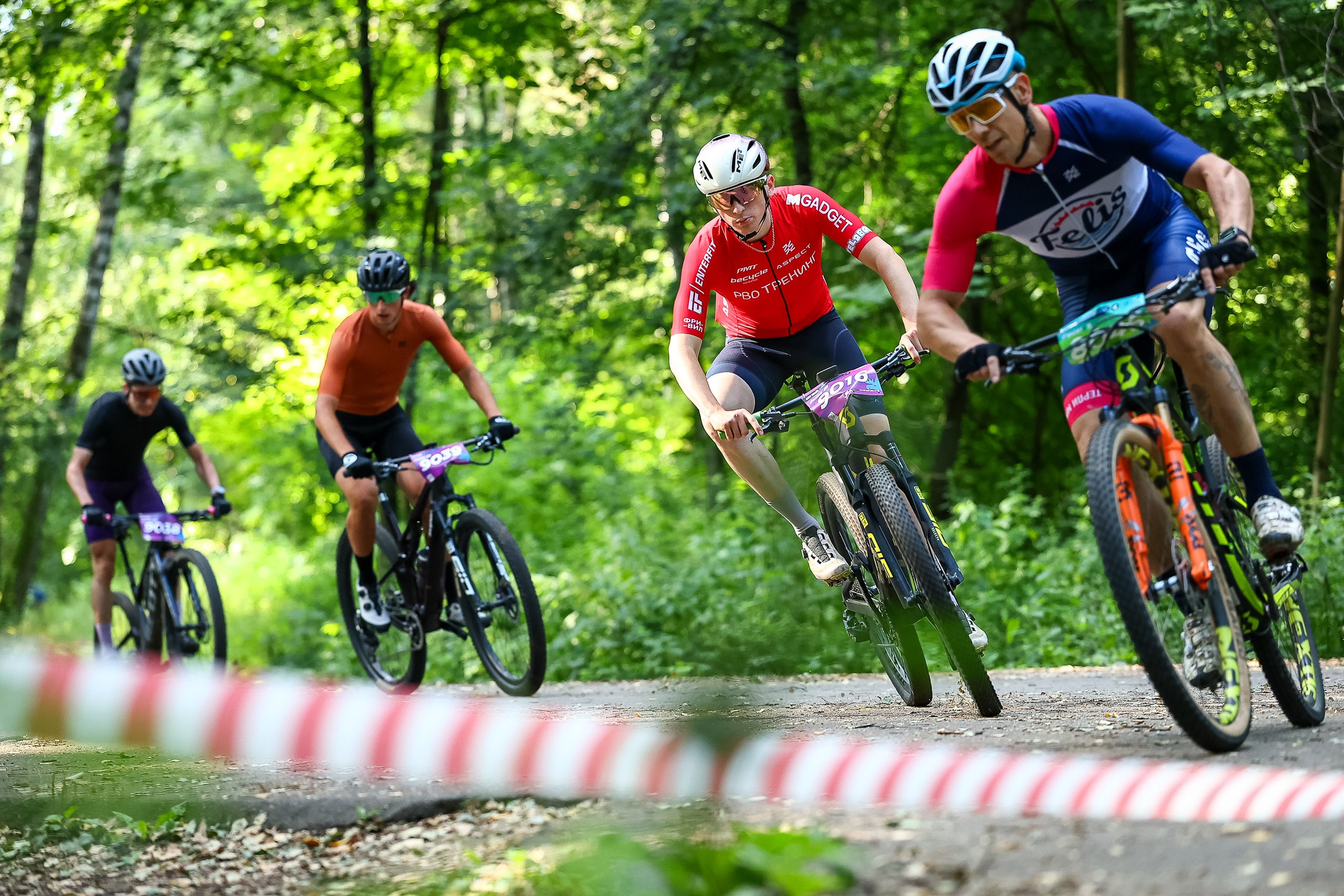 CityTrail Losiny Ostrov. Свадебная фотосъёмка в Москве, Туле