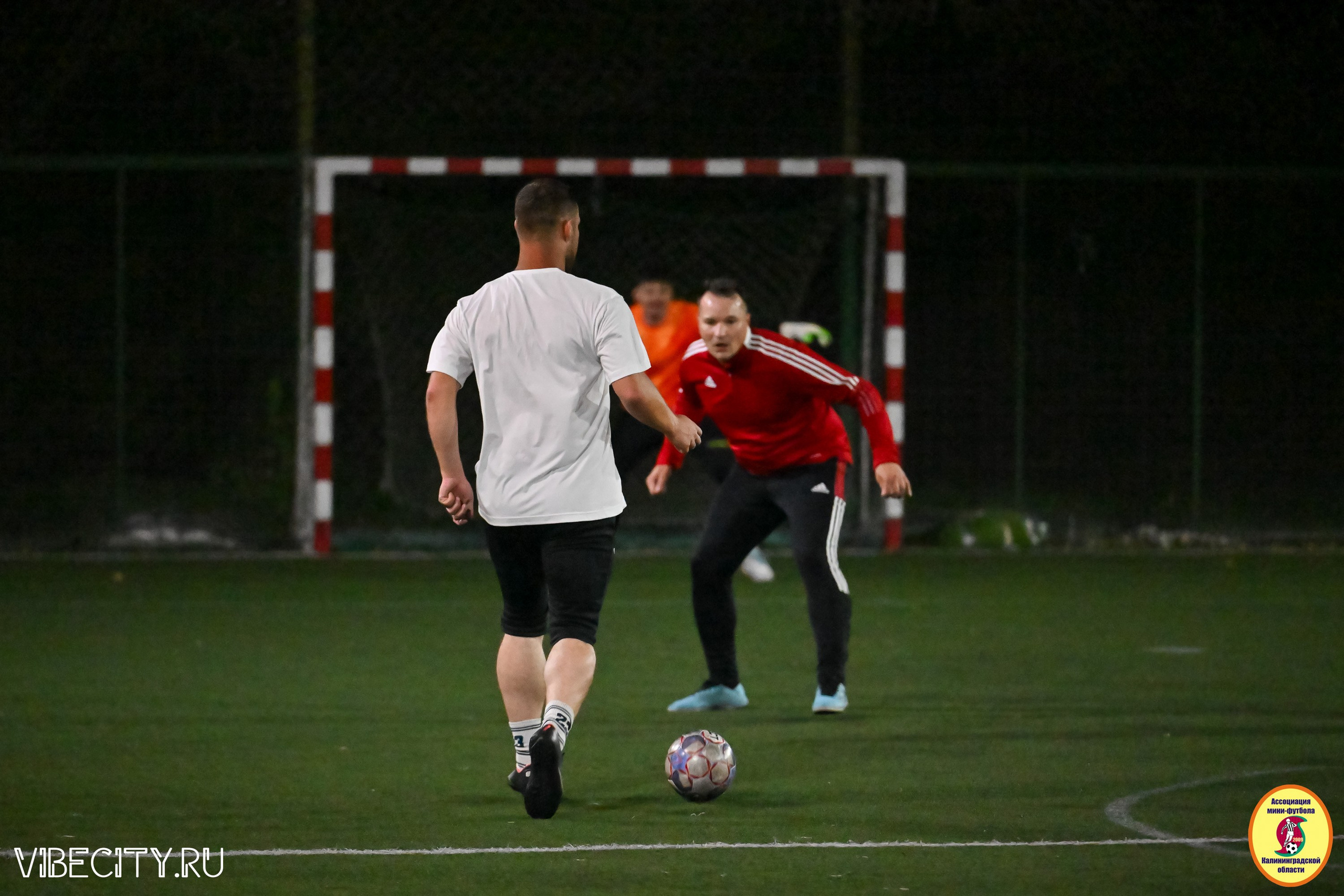 КУБОК ДРУЖБЫ. VIBECITY.RU Вайб Сити Ру Фоторепортажи Фотоотчеты Калининград