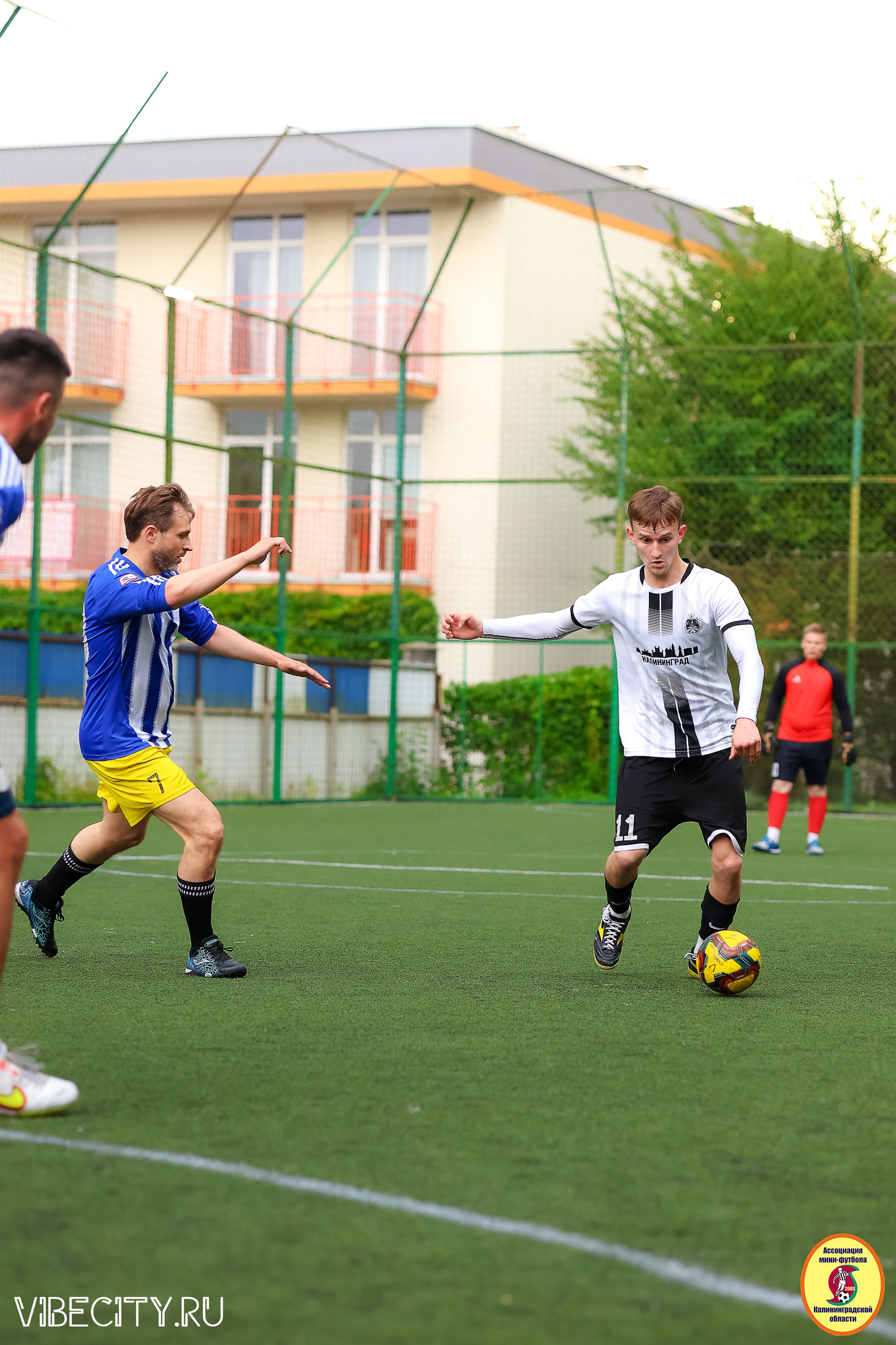 ИГРЫ МИНИ-ФУТБОЛЬНОЙ И КОРПОРАТИВНОЙ ЛИГИ. VIBECITY.RU Вайб Сити Ру Фоторепортажи Фотоотчеты Калининград