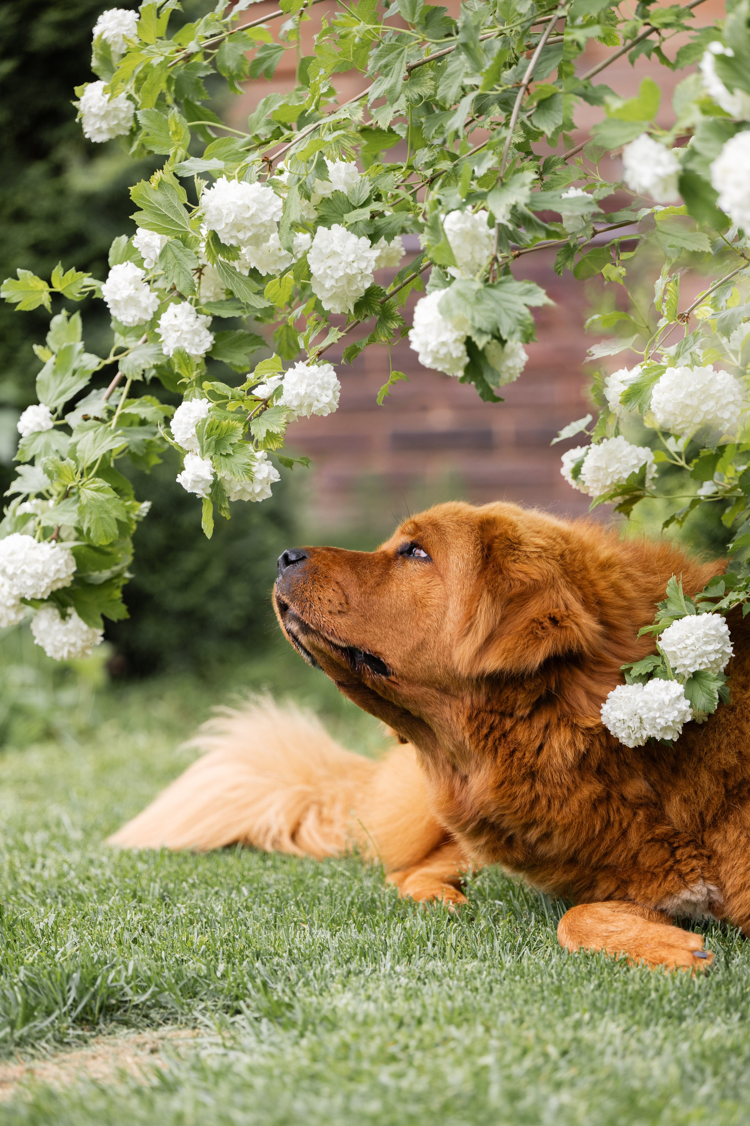 Мои Злата и Фред. -