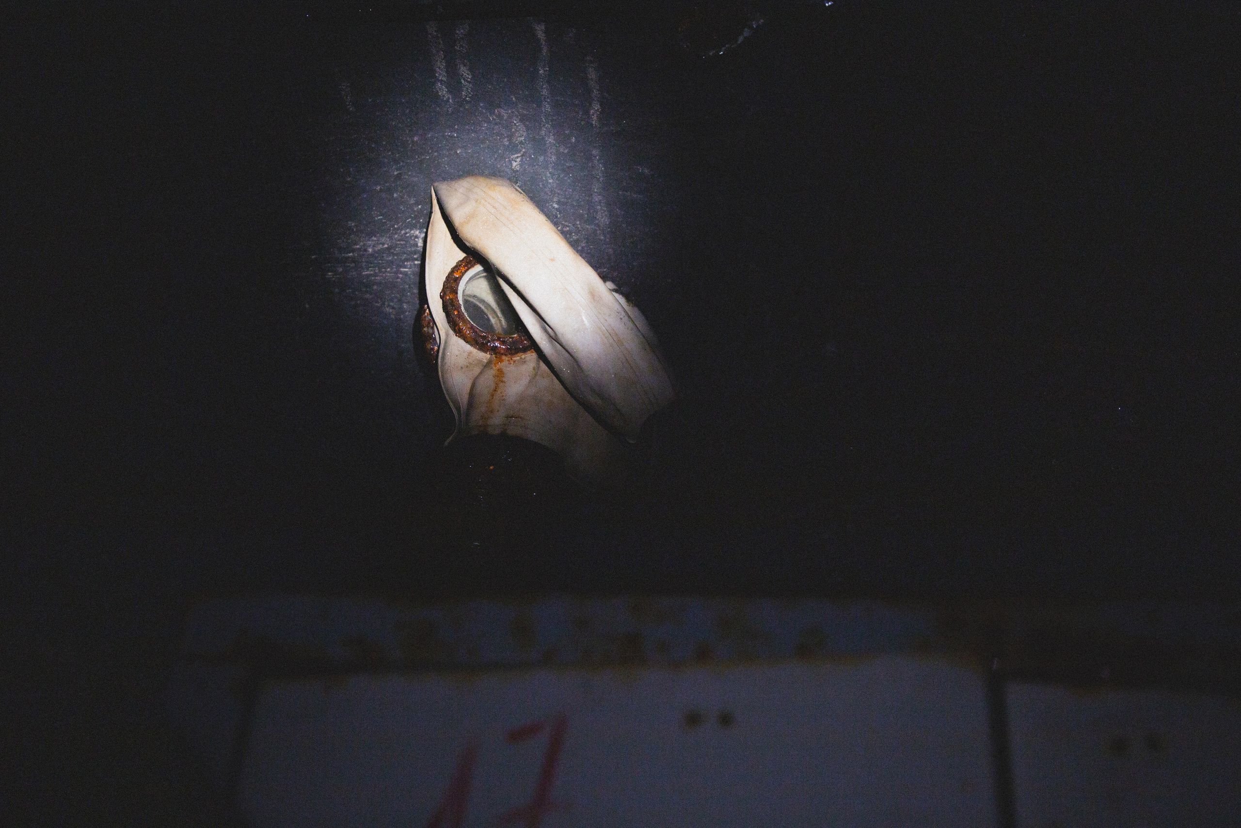 Amnesia: The Vladivostok Bunker. Ирина Чернова — портретный фотограф и маркетолог из Владивостока