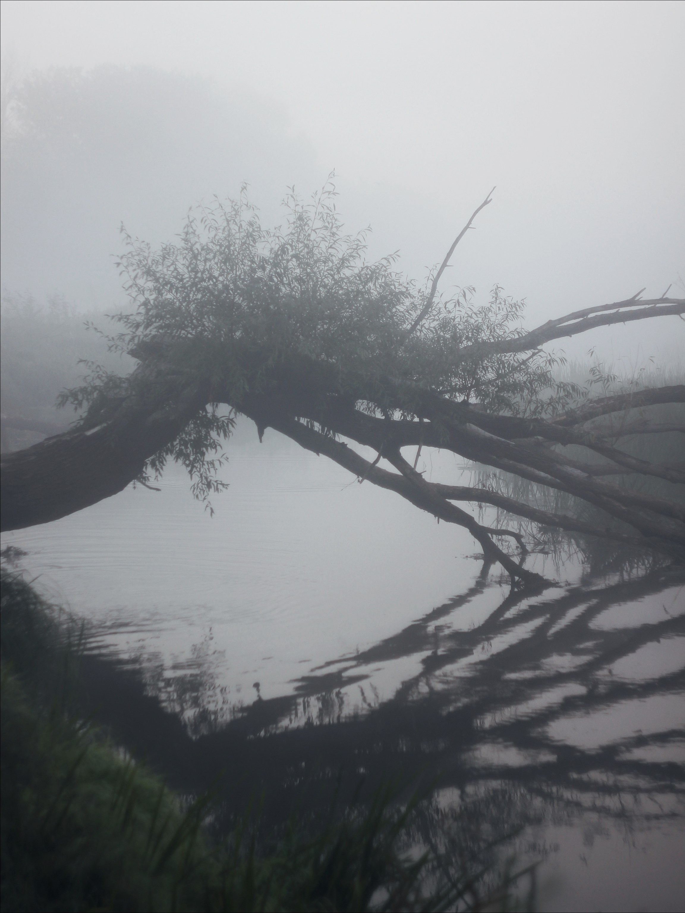 Опустошенность. С любовью, фотохудожник