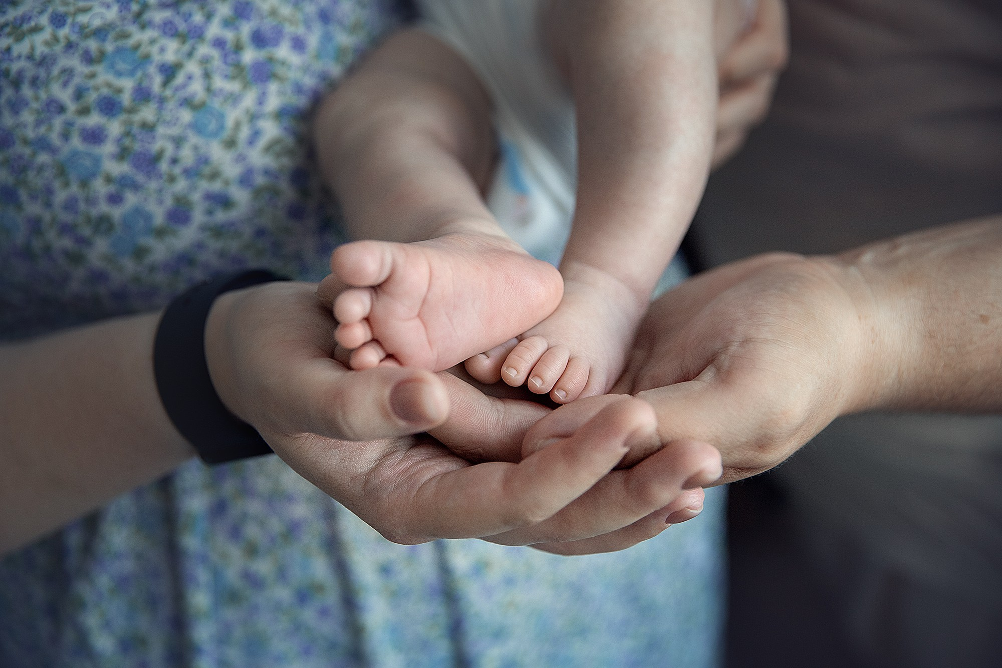 Новорожденные. Фотограф Александр Солнечный
