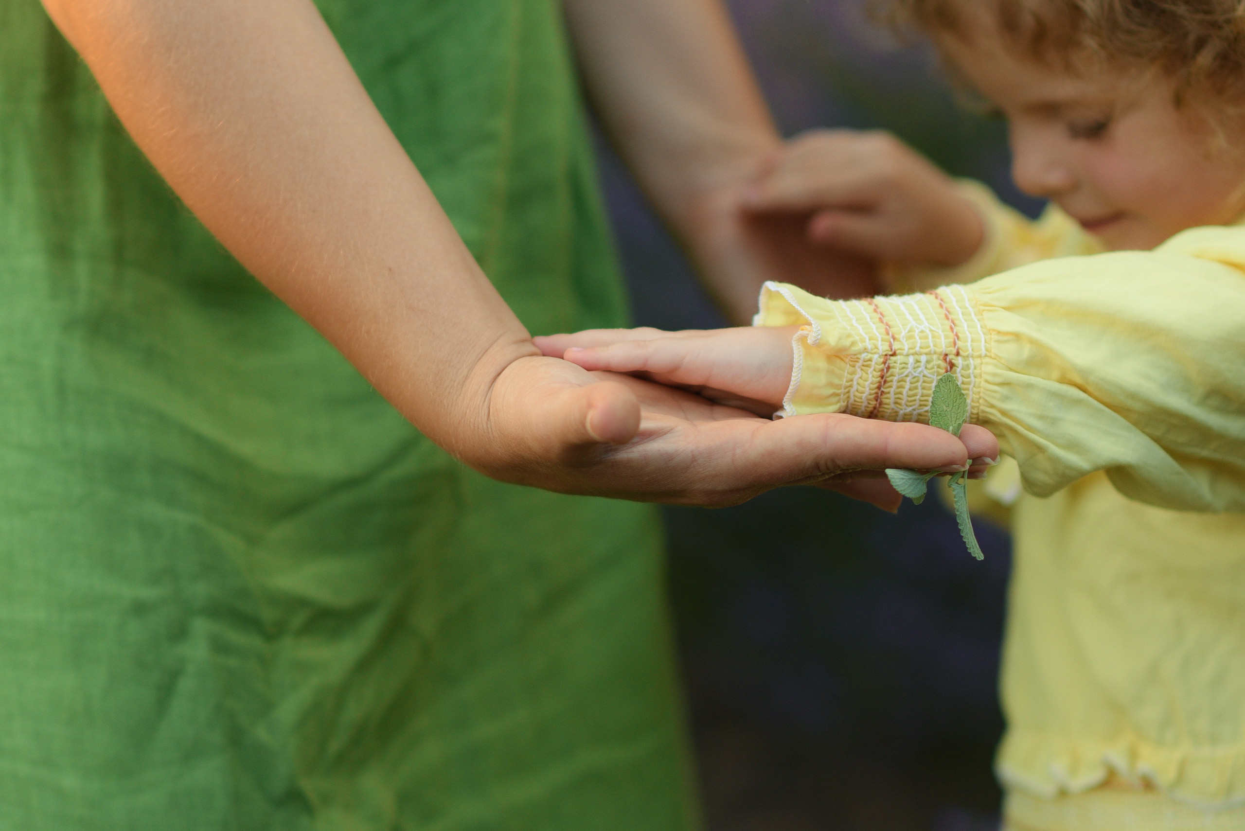 Про солнце, заблудившееся в кудряшках, и нежную любовь в жужжащих облаках. Семейный фотограф в Ростове-на-Дону Мария Панарина