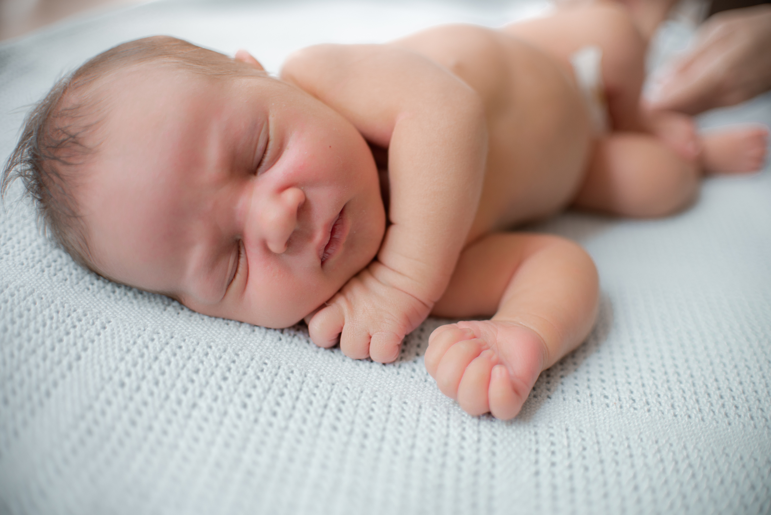 Стёпушка. 6-й день новой жизни…. Семейный фотограф в Ростове-на-Дону Мария Панарина