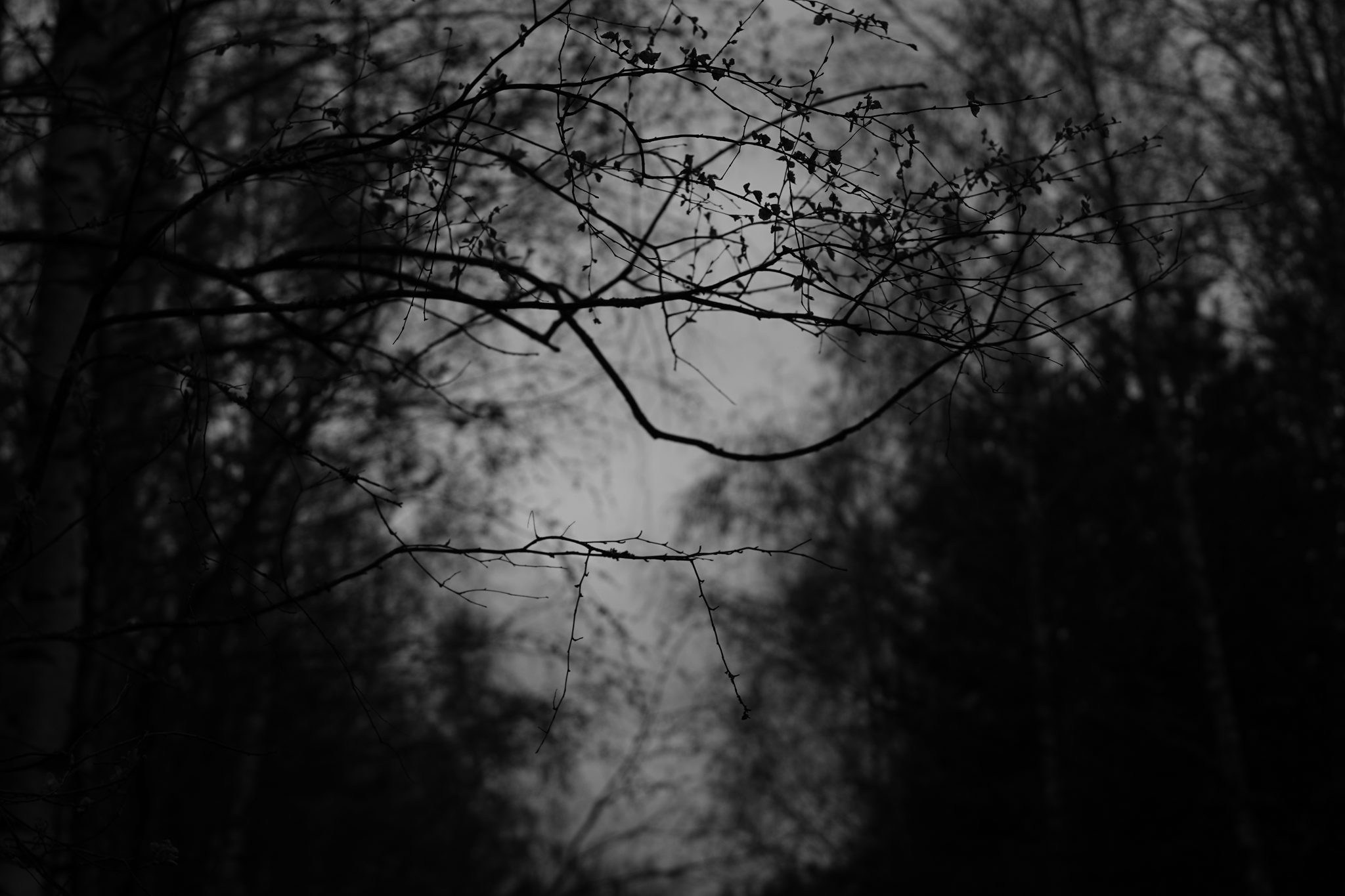 Весенне путешествие в Суздаль. Федор Ратчин — фотограф