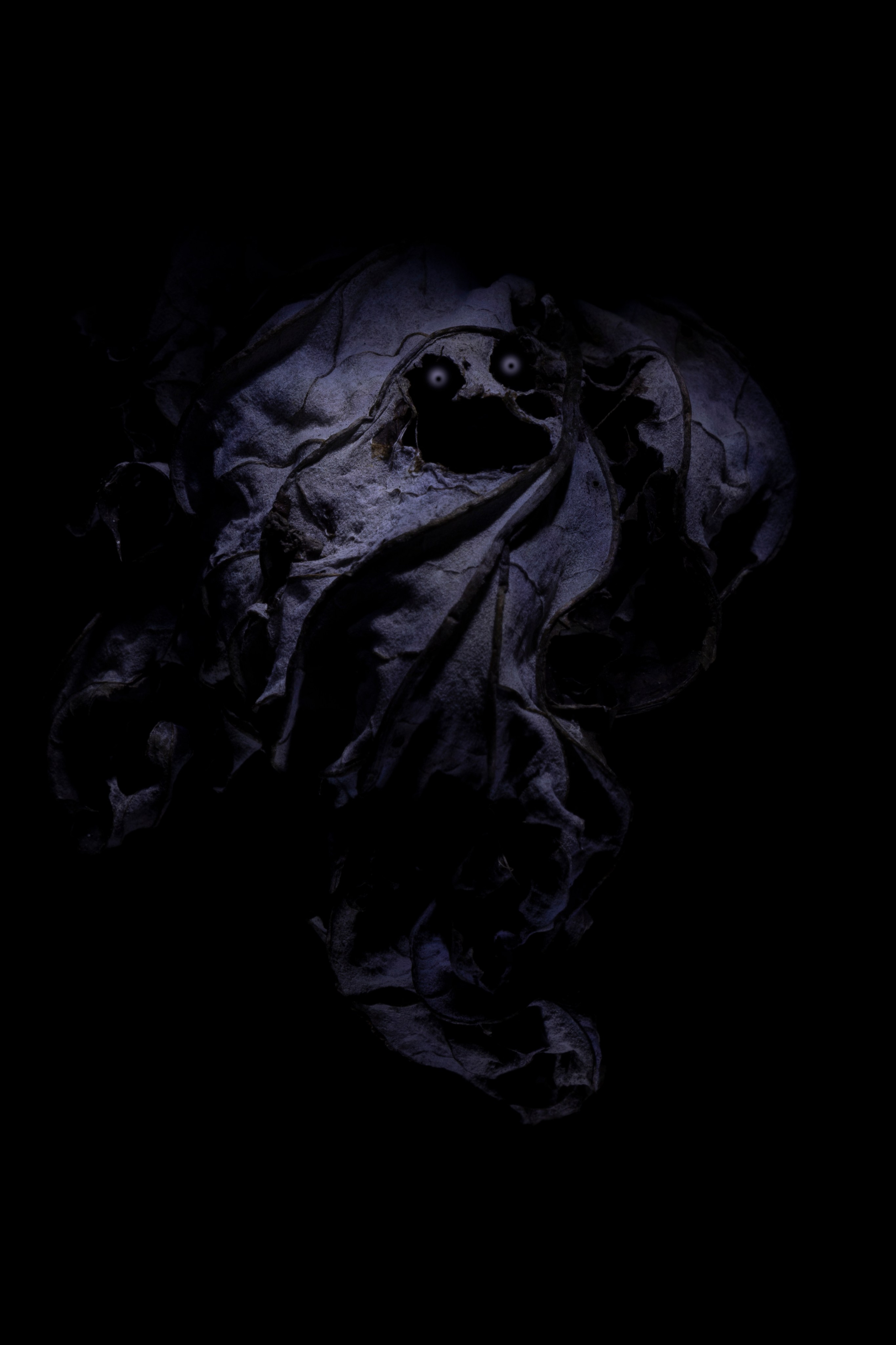 «Тебе кажется…?». Арт-фотограф во Владивостоке Дмитрий Осипчук