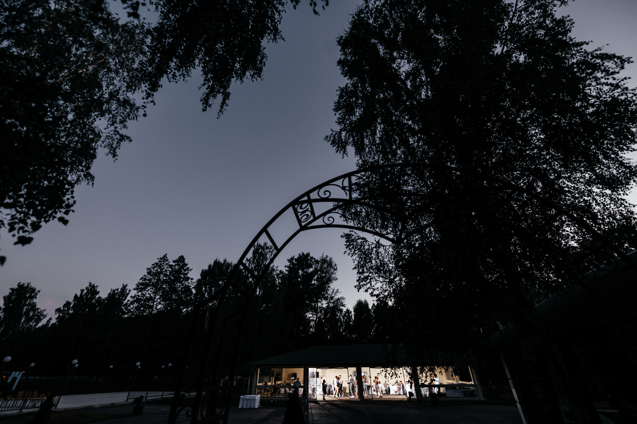 Щелково, Лесные пруды, свадьба. Свадебный и семейный фотограф Виктория Носачёва. Щелково, Москва и МО