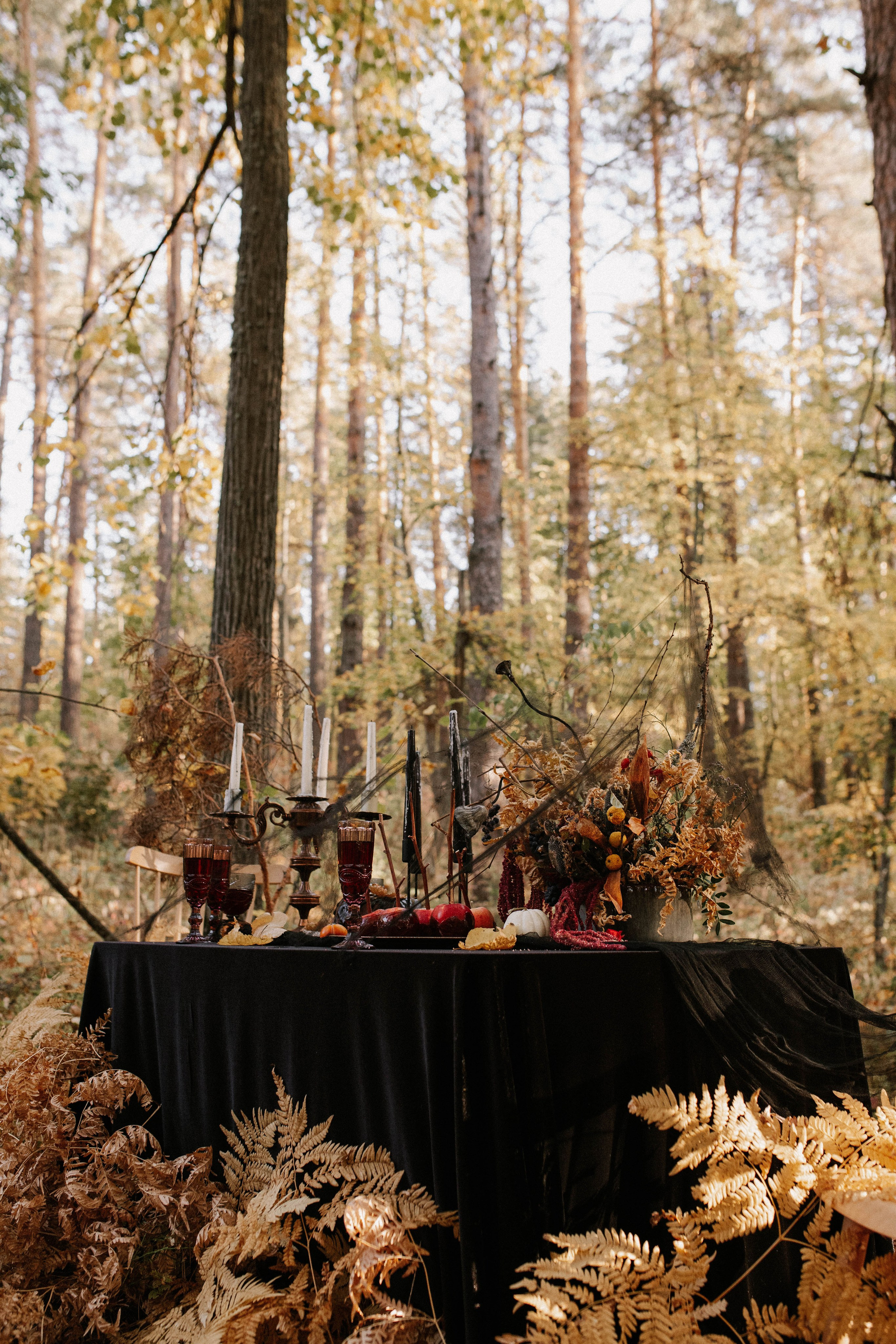 Фотограф Каролина