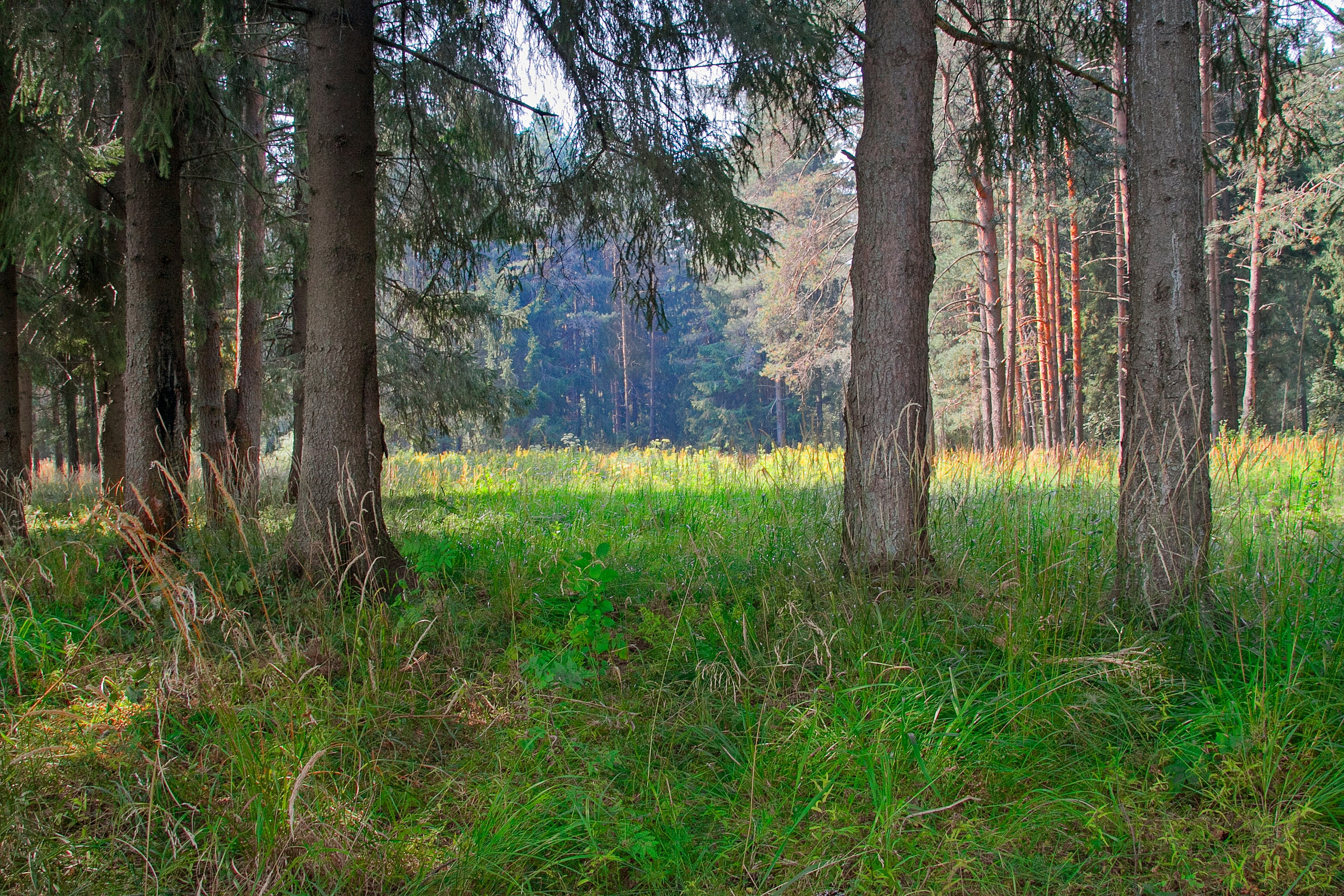 Тишина. Свадьбы, портретная, предметная съемка. Фотограф Александр К