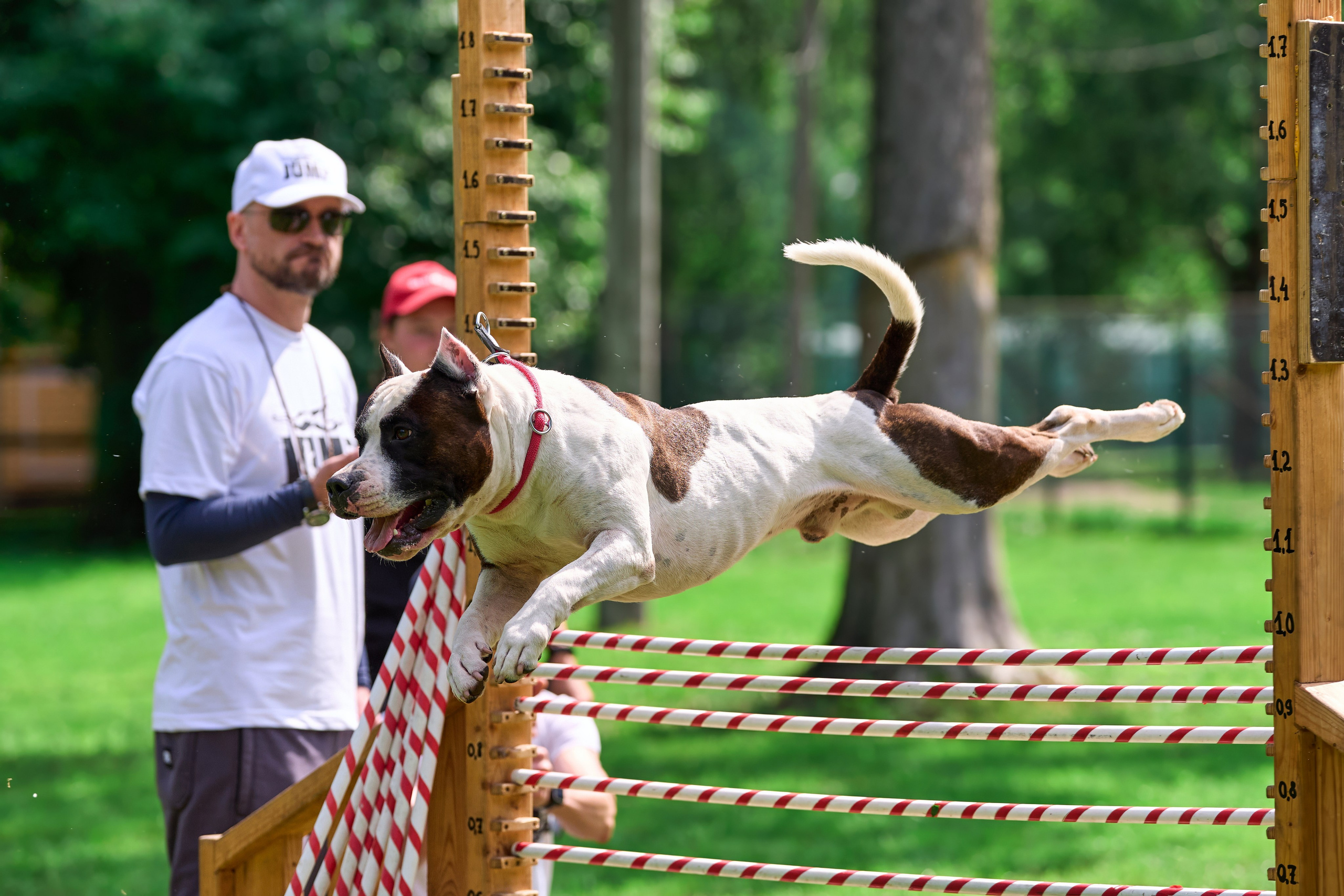 Двухдневные соревнования «Jump'n'Gym Fest — 2024». Фотограф-анималист Михаил Манухин