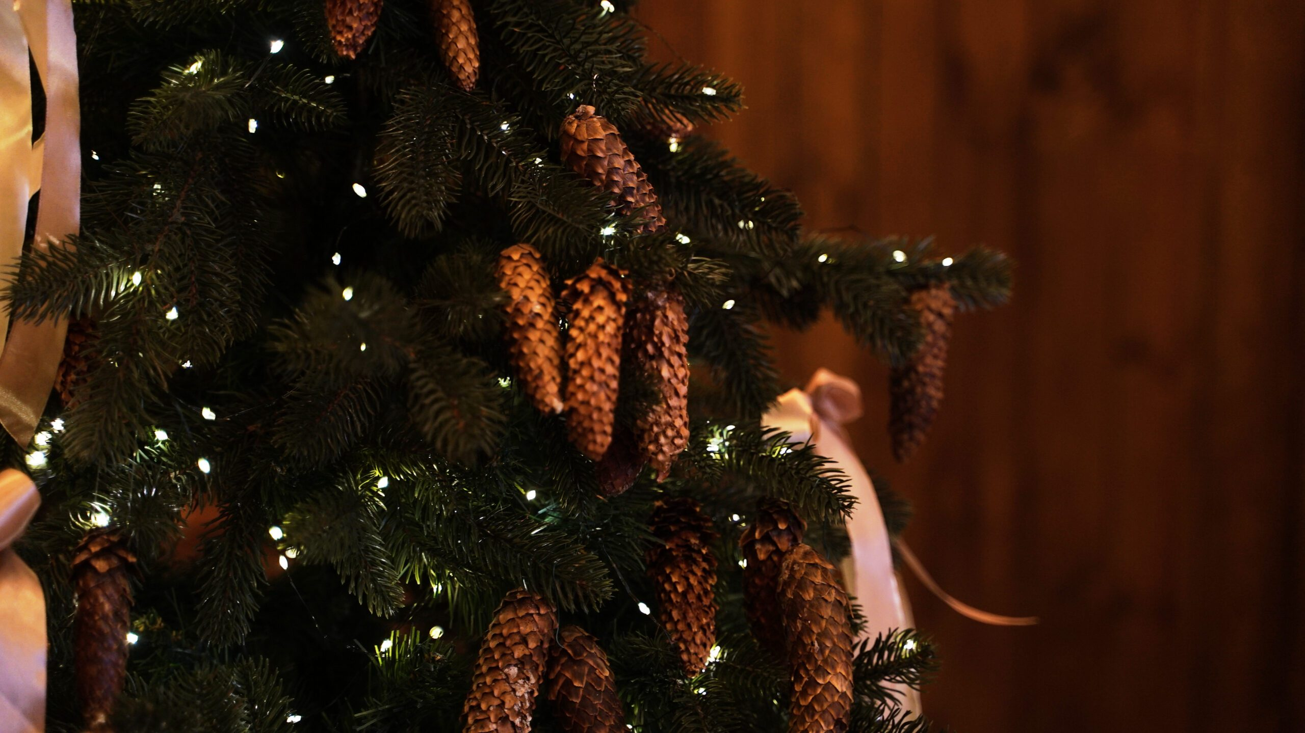 Photohub новогодние залы. Фотограф в Минске Людмила Дутко